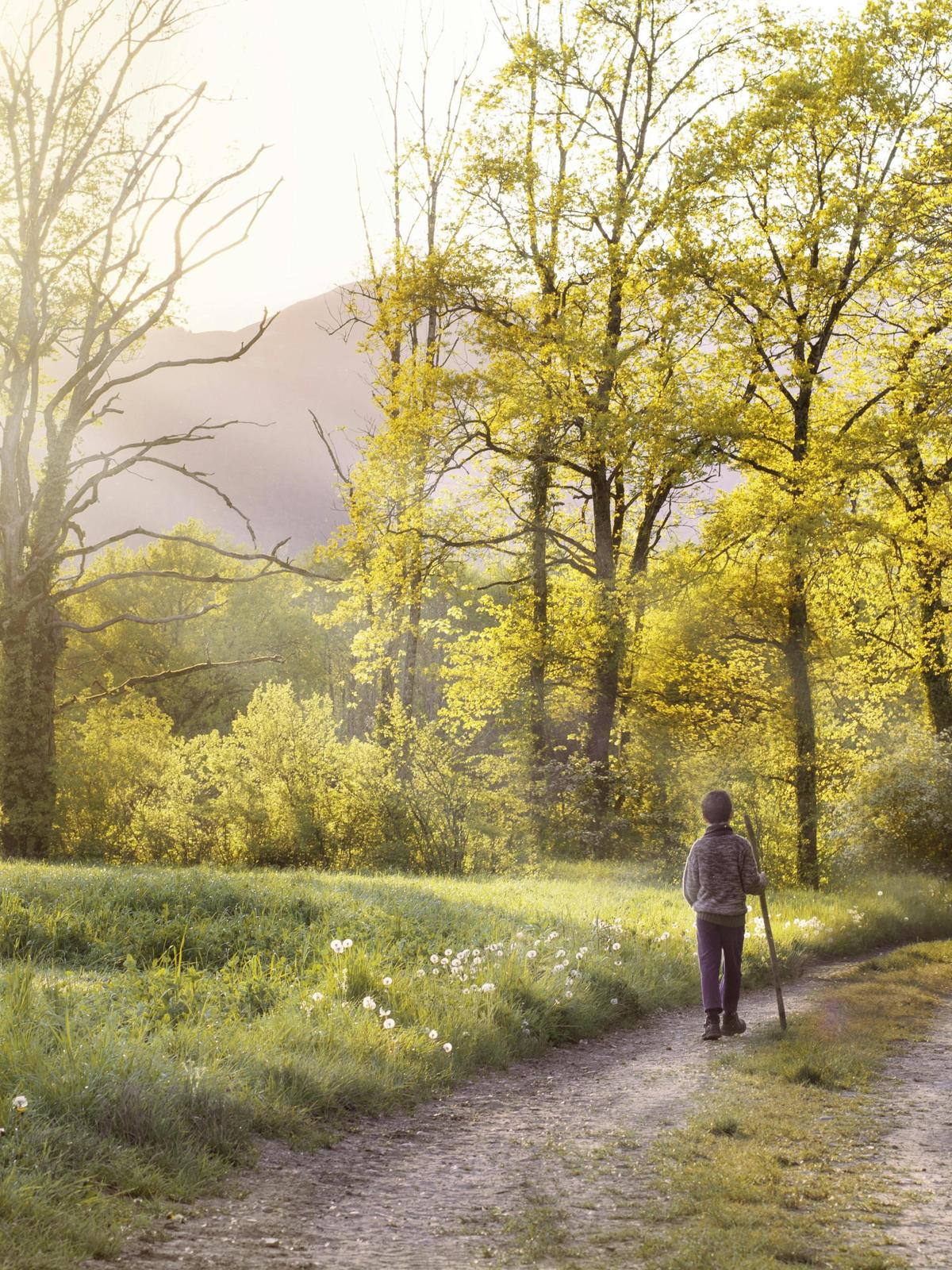 Background for 67 (8 March)