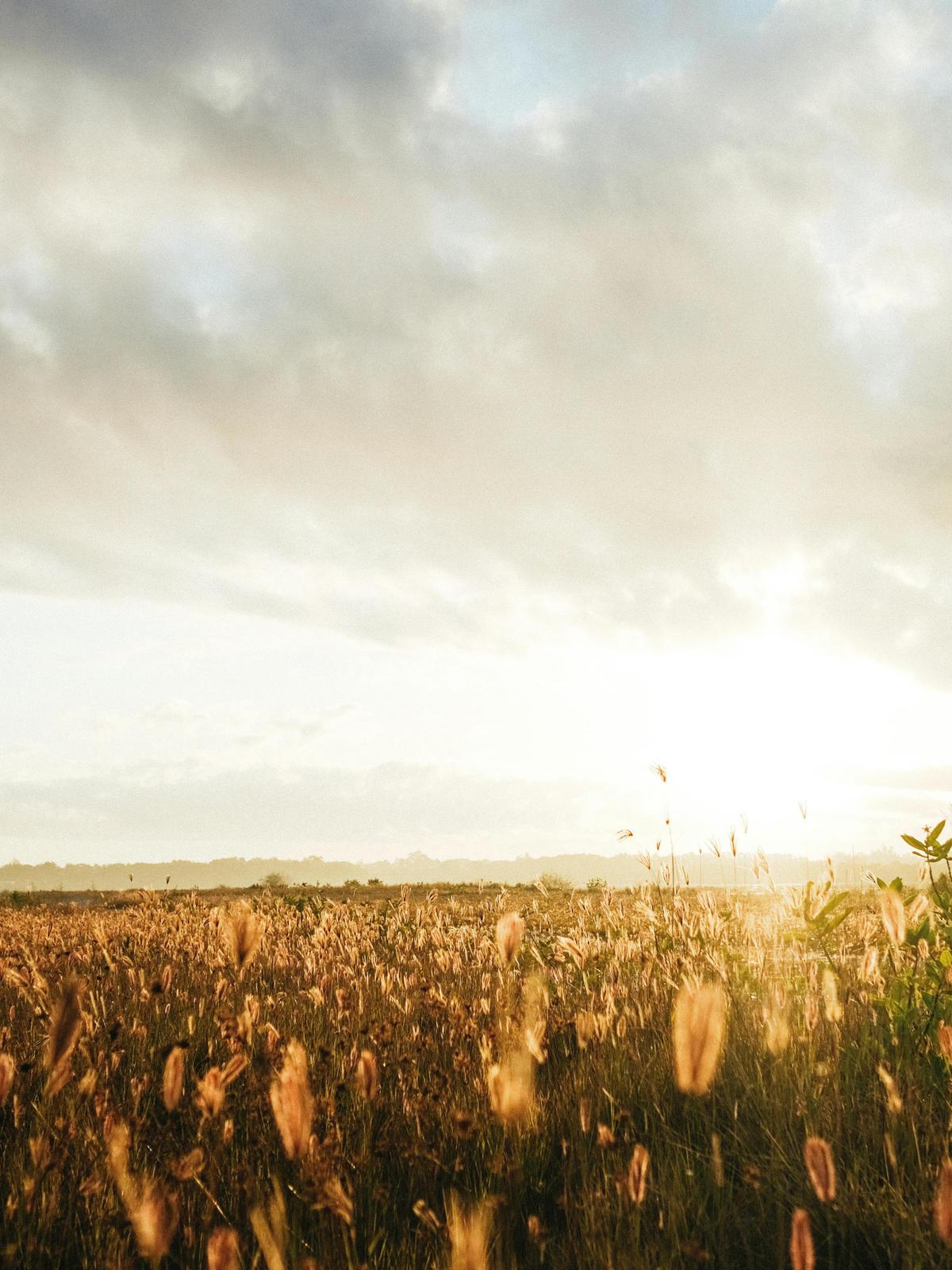 Background for 72 (13 March)