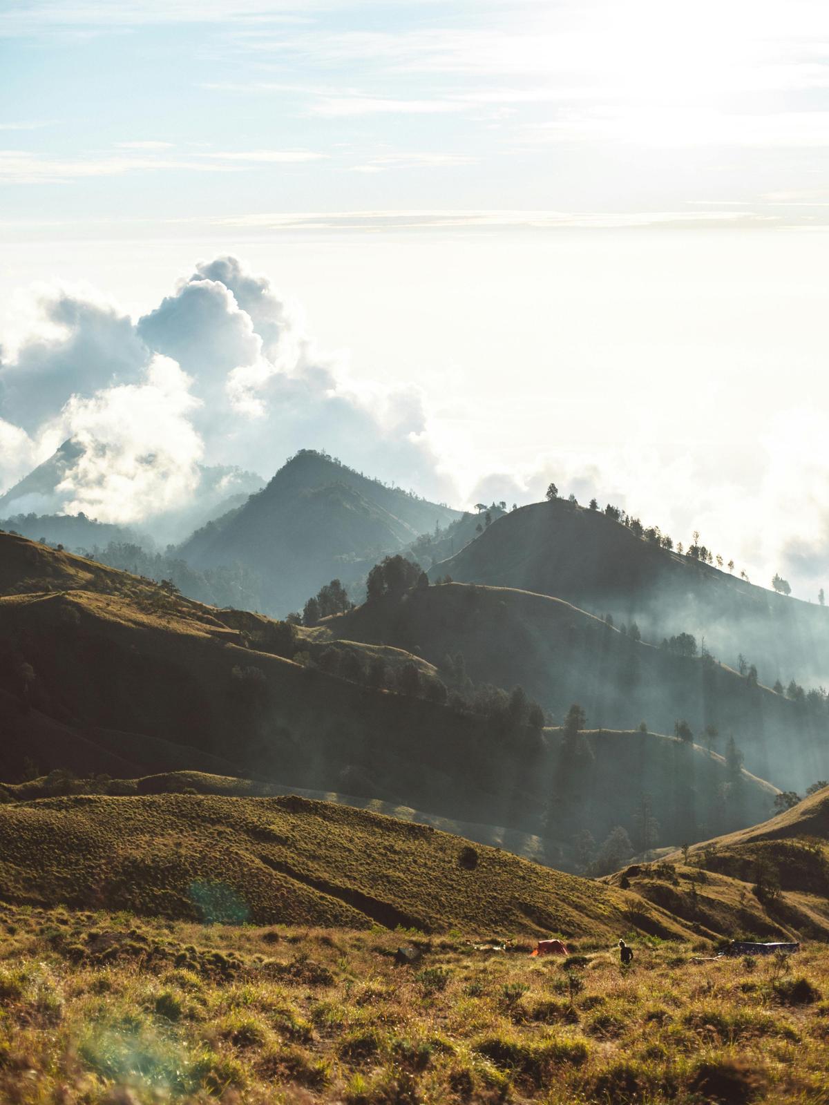 Background for 75 (16 March)