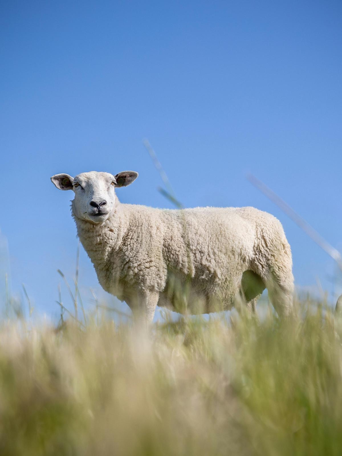 Background for 82 (23 March)