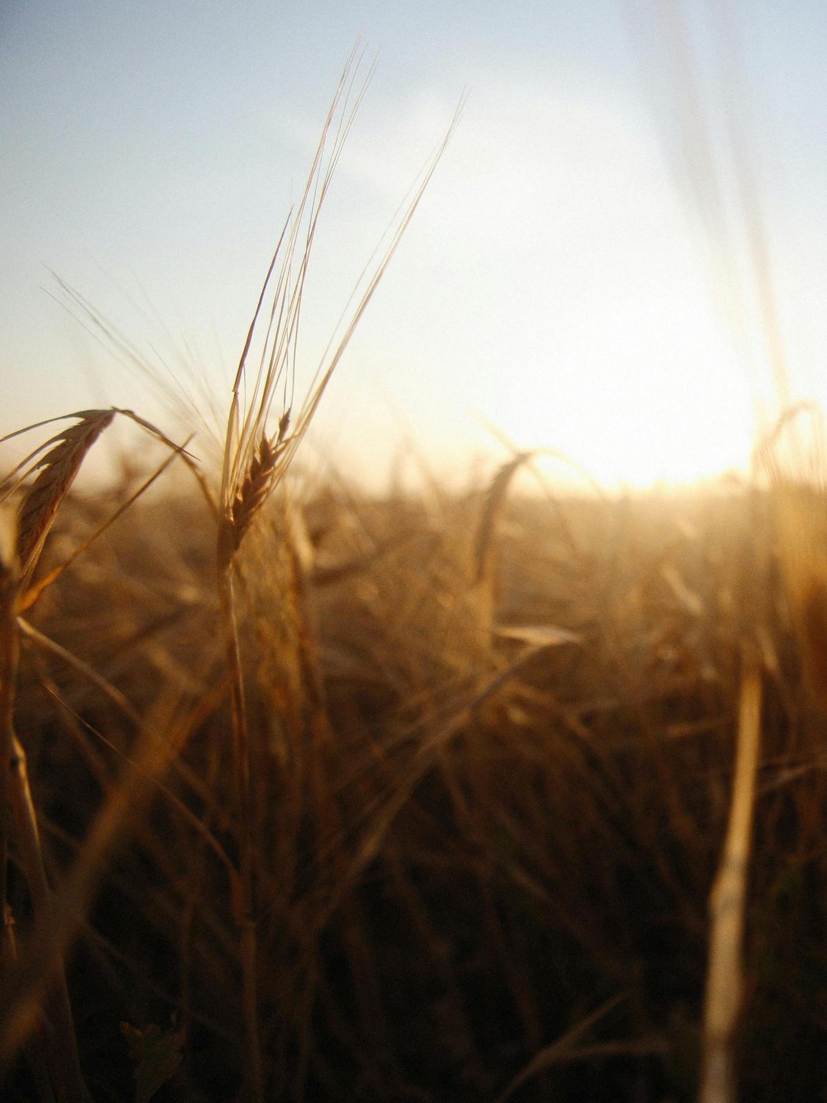 Background for 85 (26 March)