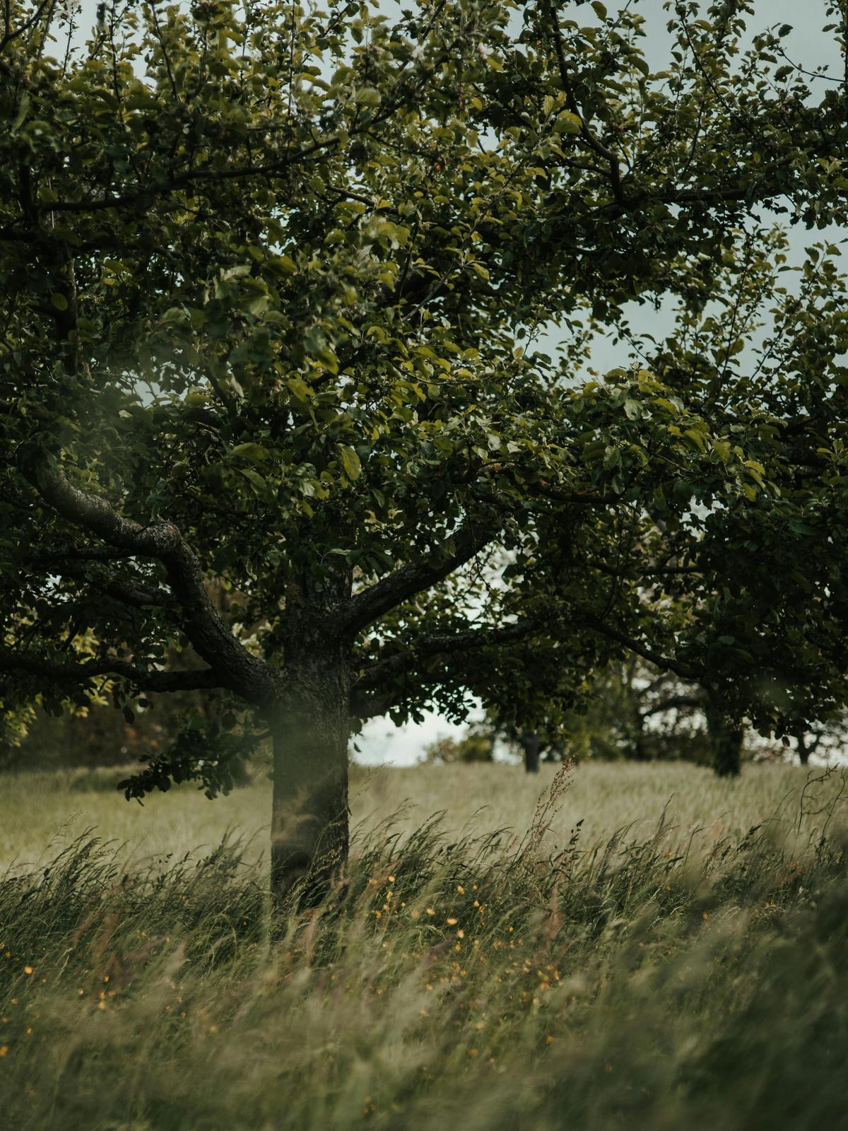 Background for 87 (28 March)