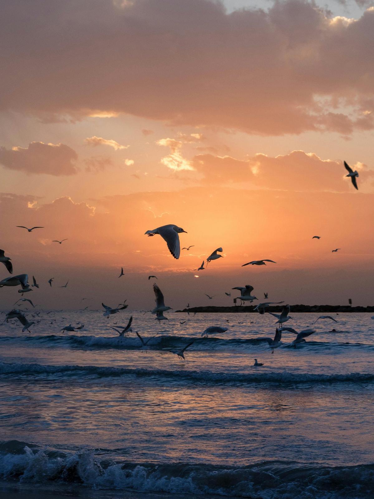 Background for 88 (29 March)