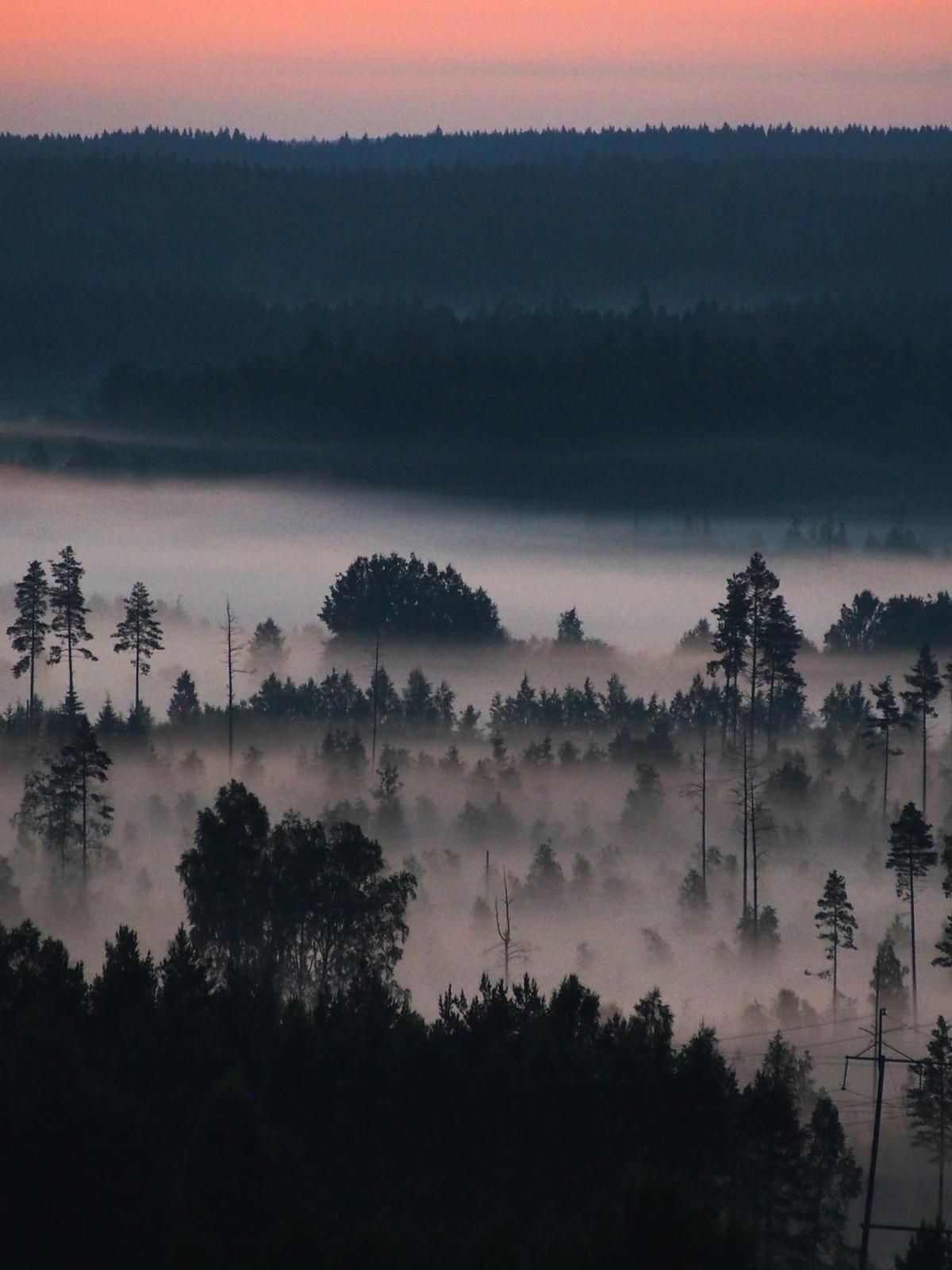 Background for 91 (1 April)