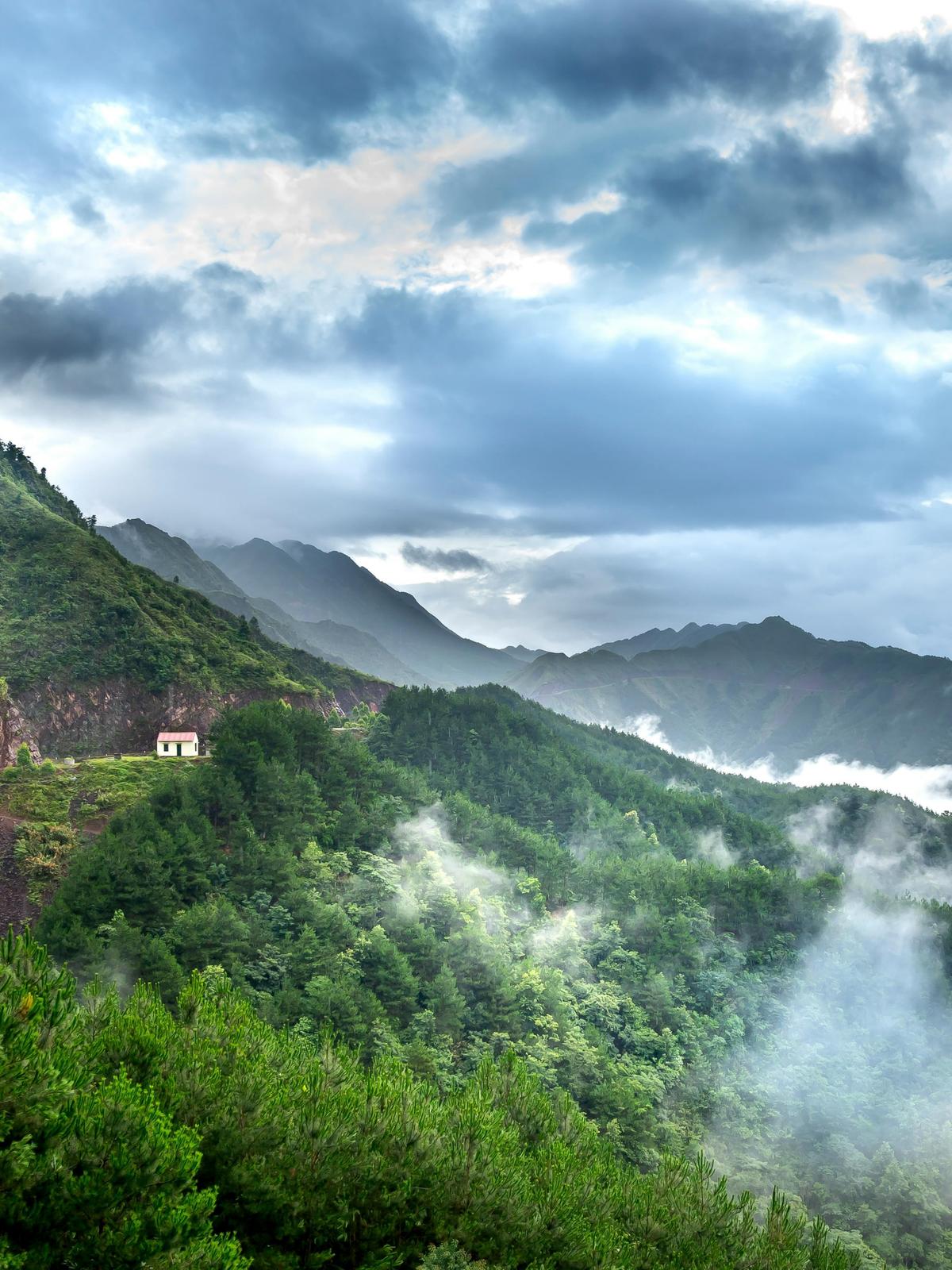 Background for 96 (6 April)