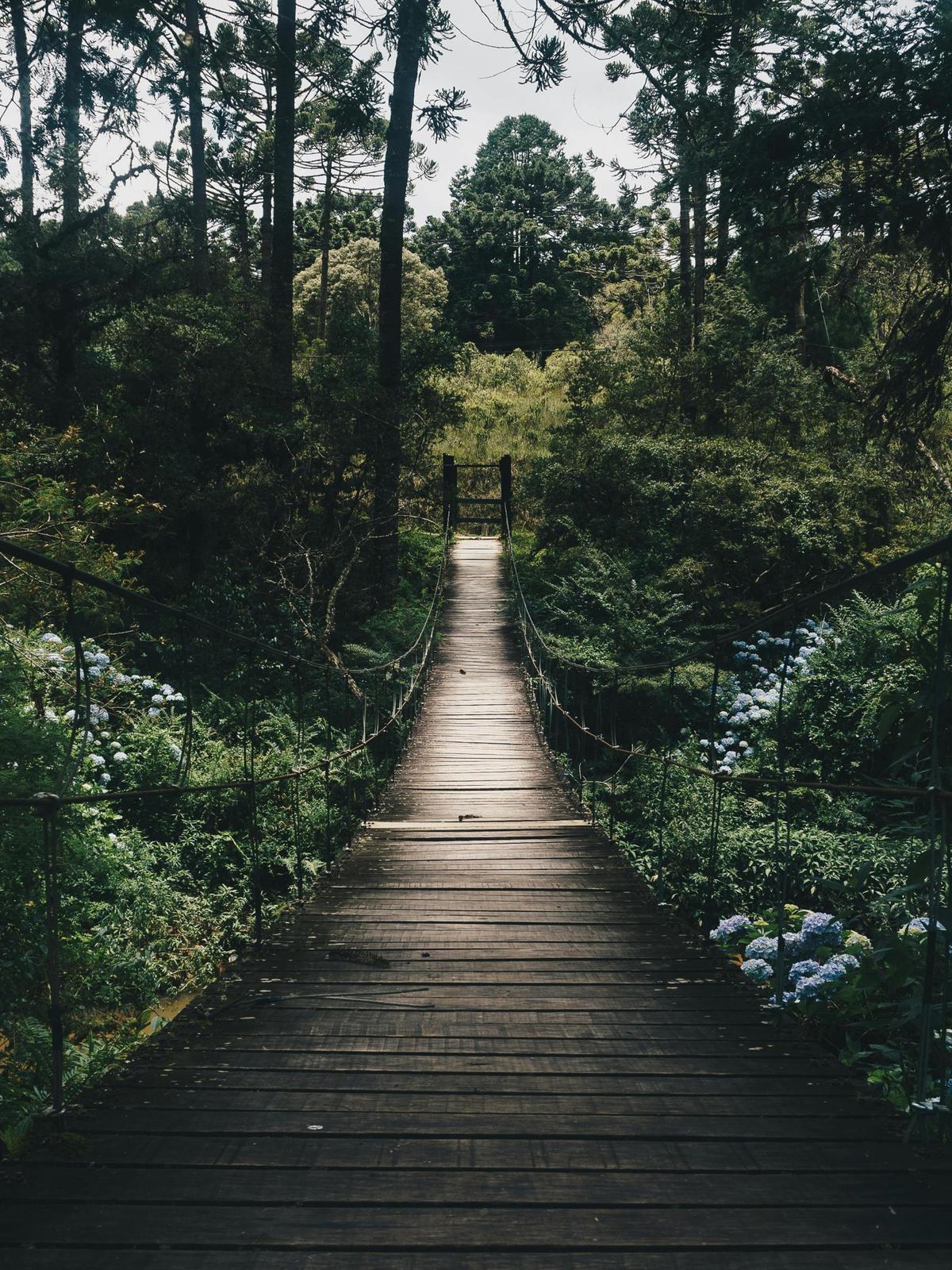 Background for 98 (8 April)