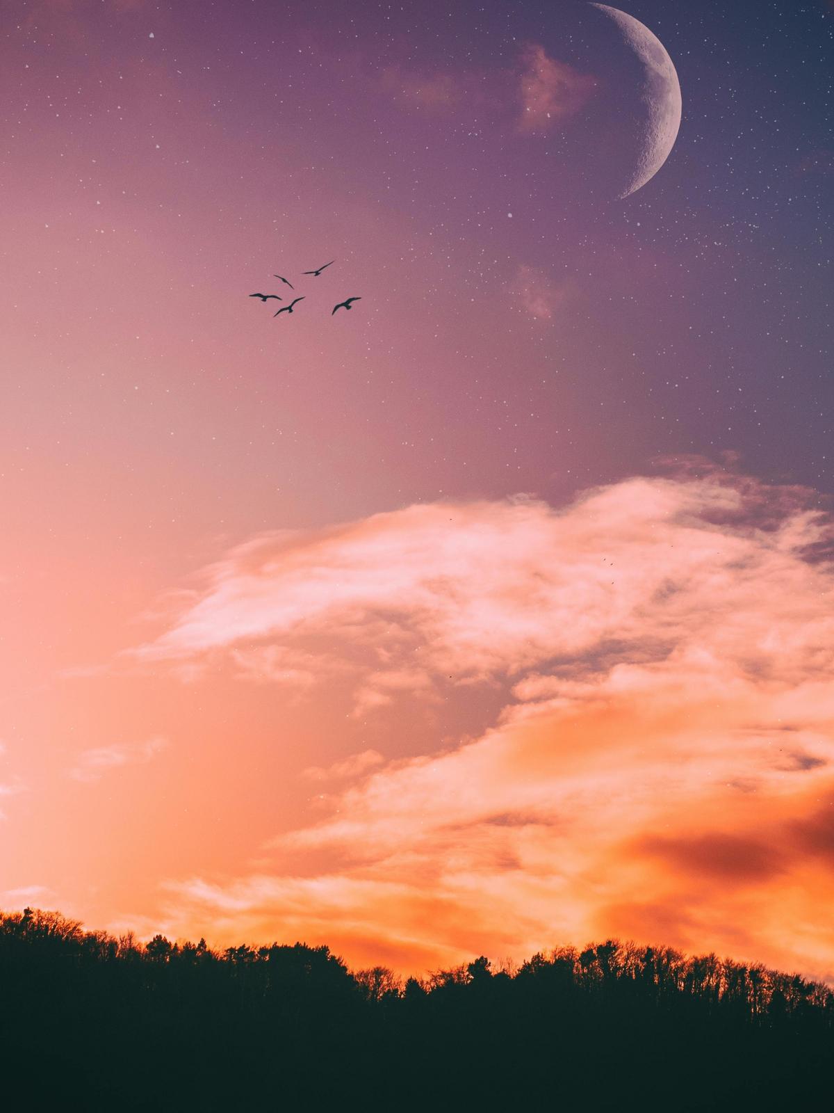 Background for 99 (9 April)