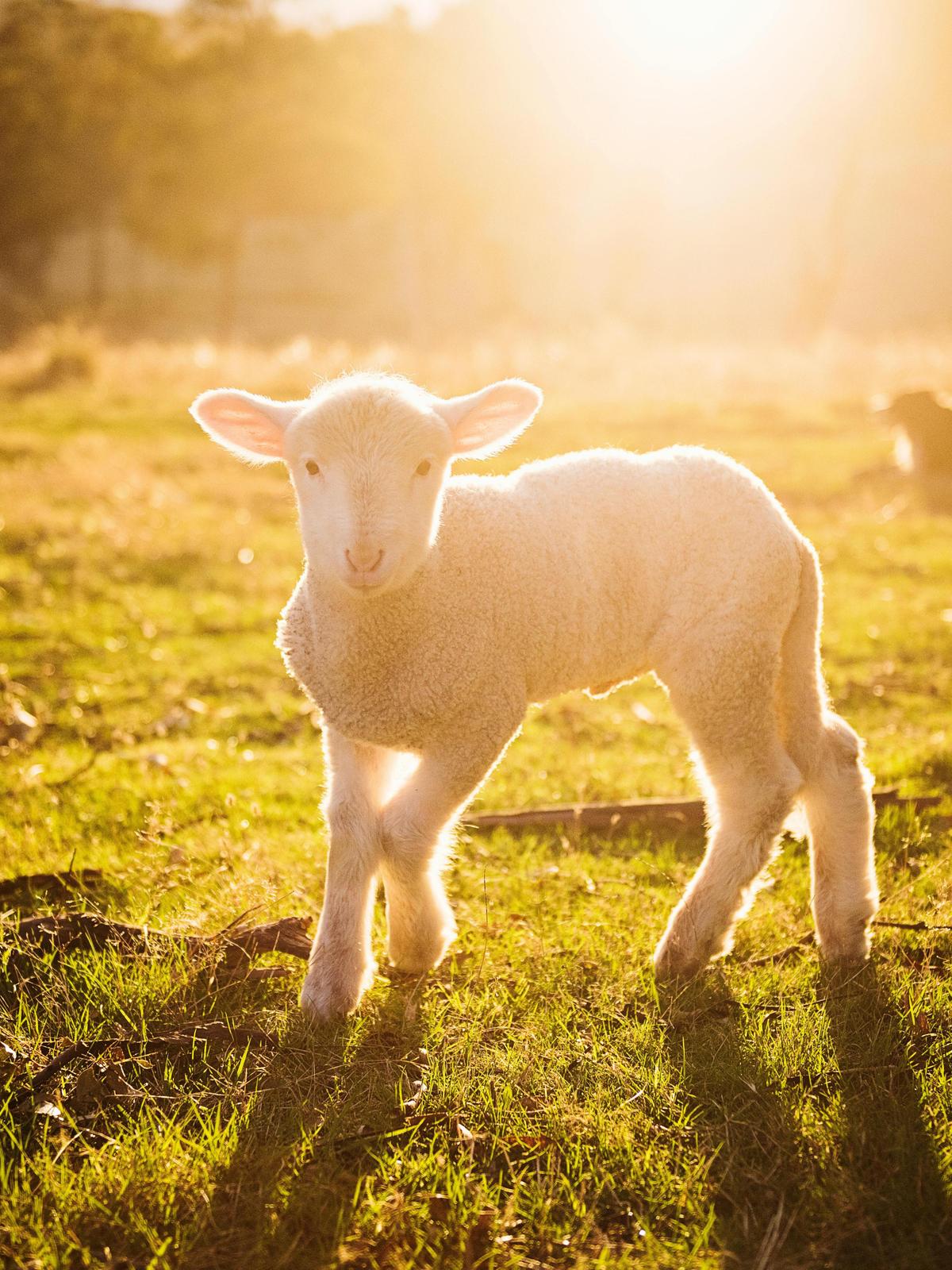 Background for 108 (18 April)