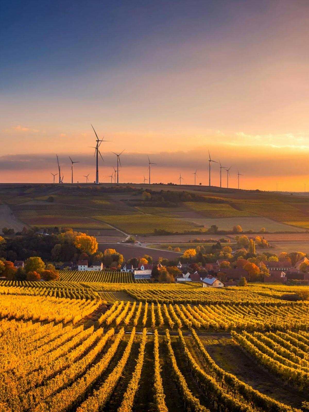 Background for 109 (19 April)