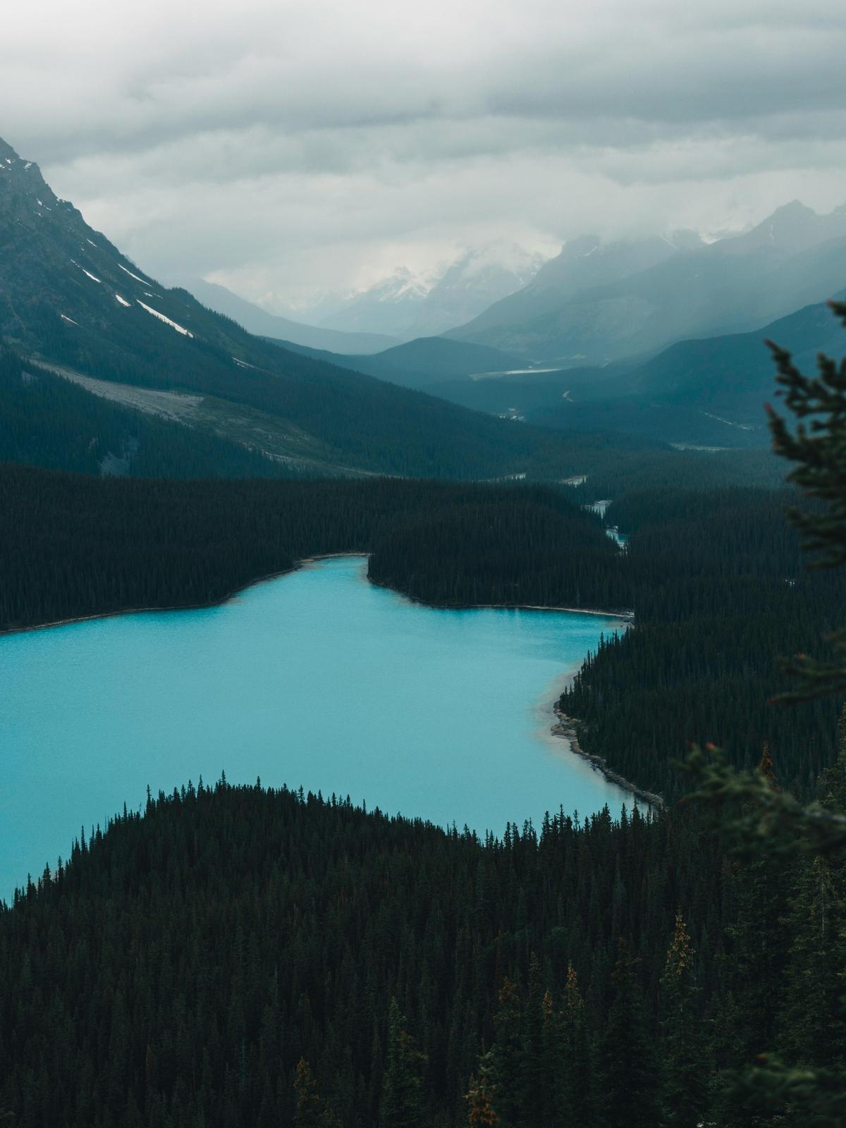 Background for 117 (27 April)