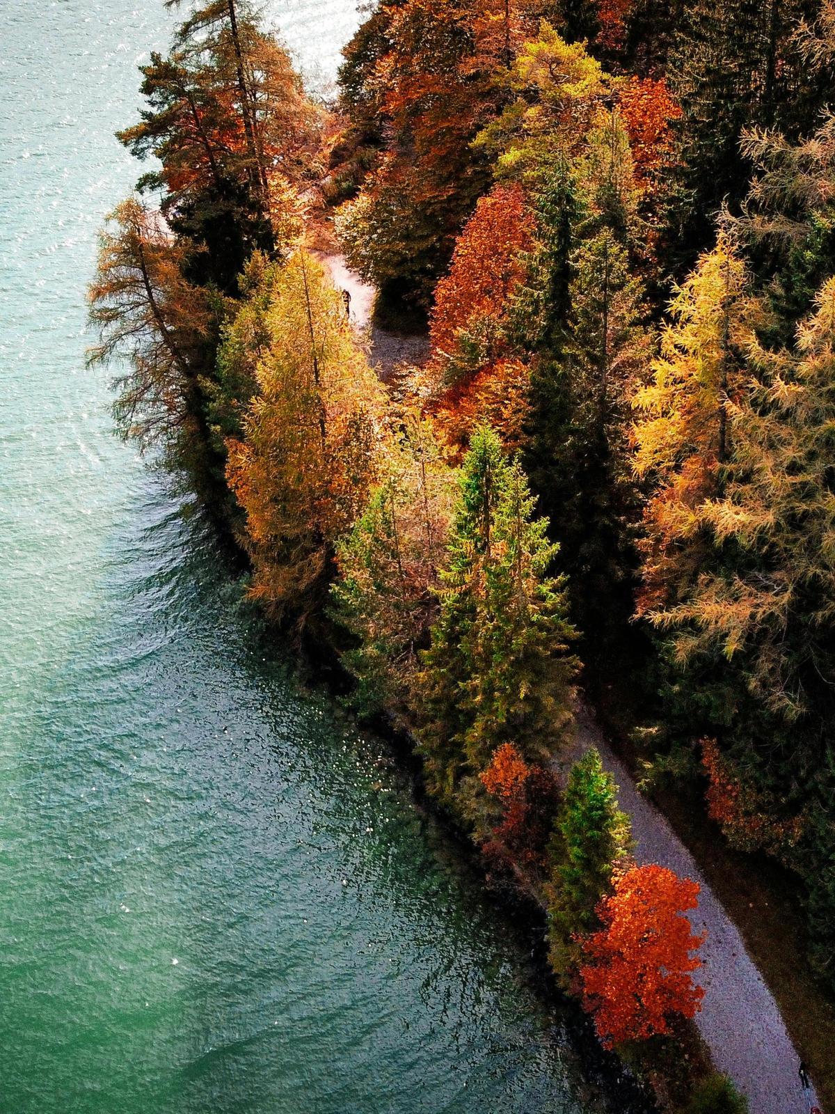 Background for 118 (28 April)