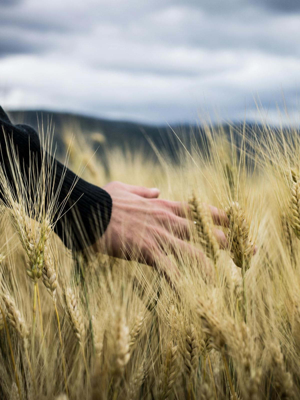 Background for 128 (8 May)