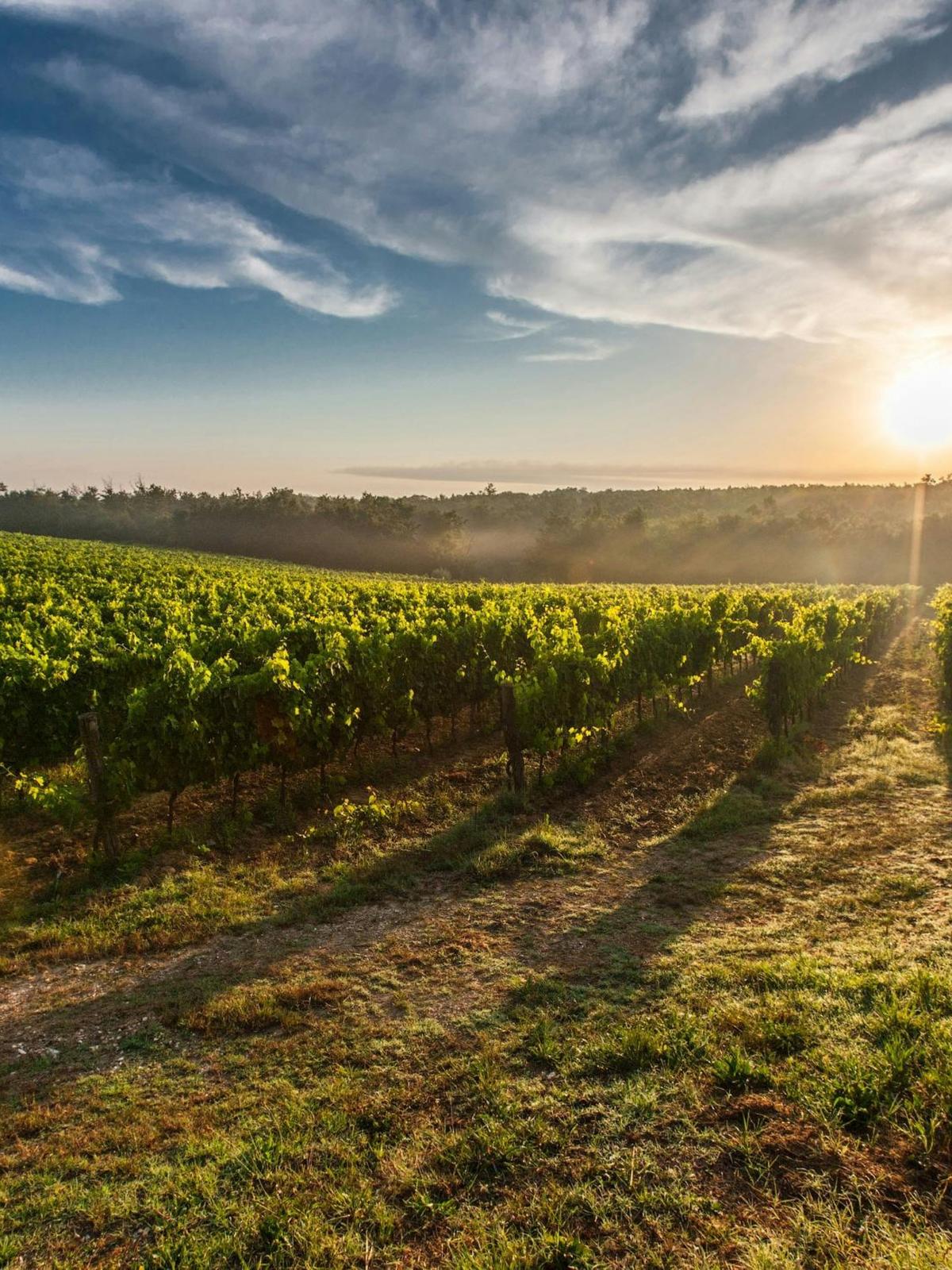 Background for 130 (10 May)