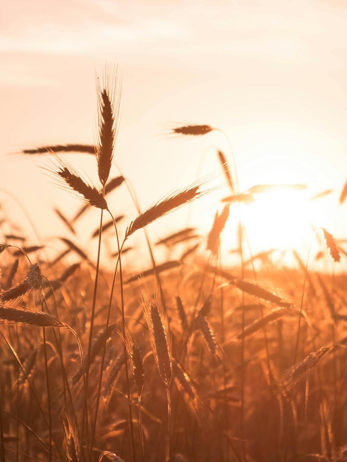 Background for 133 (13 May)