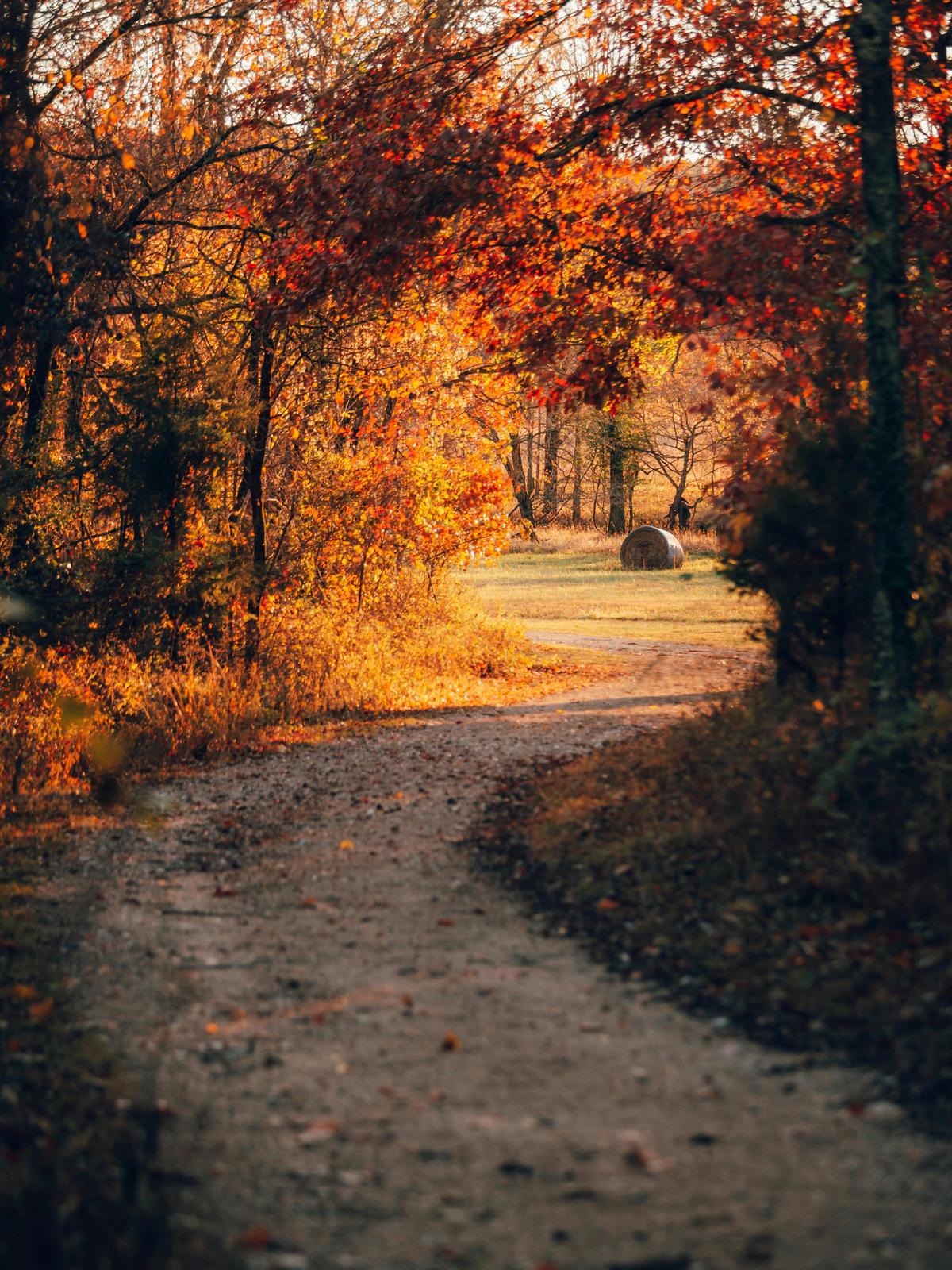 Background for 145 (25 May)