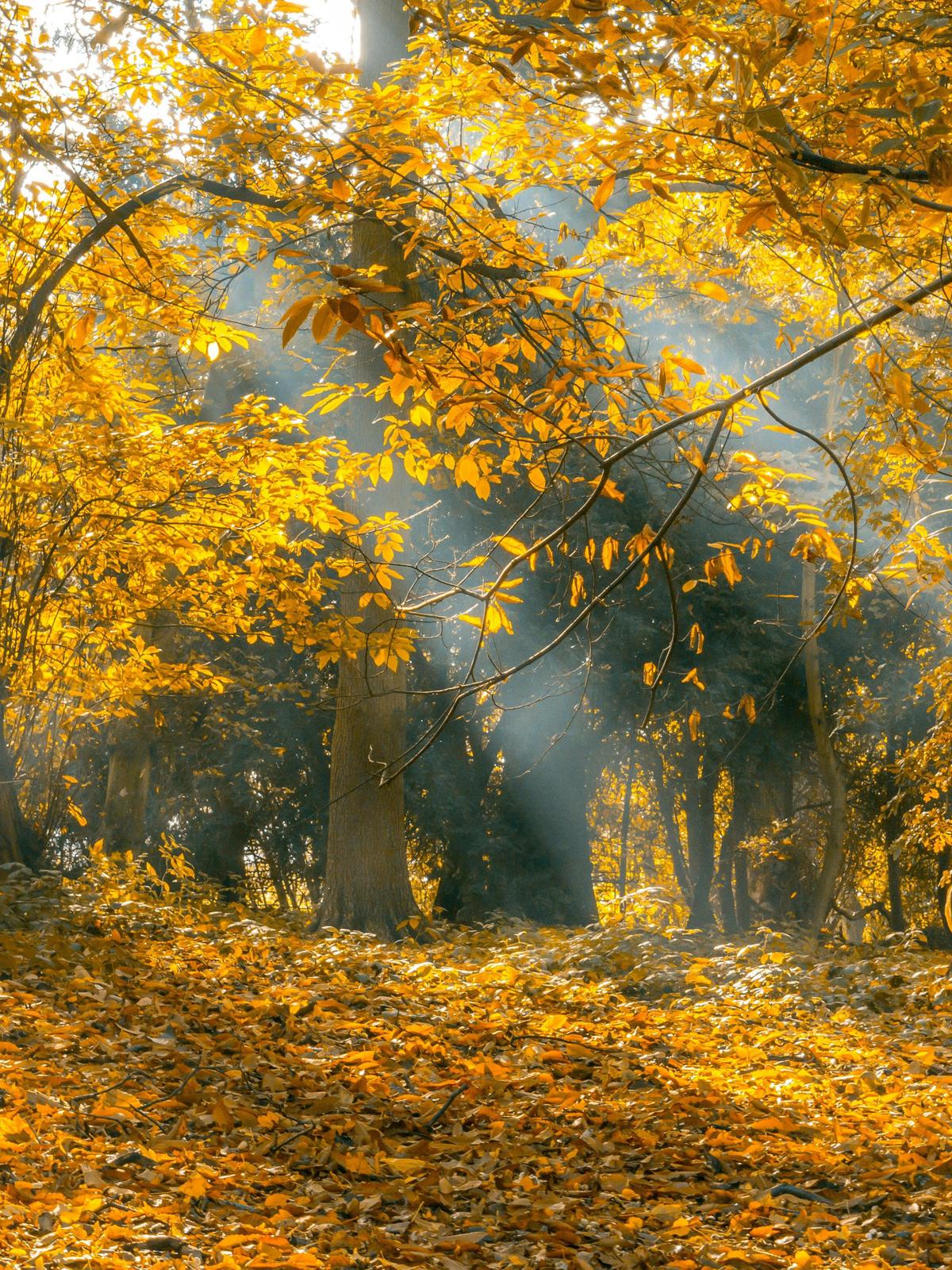 Background for 161 (10 June)