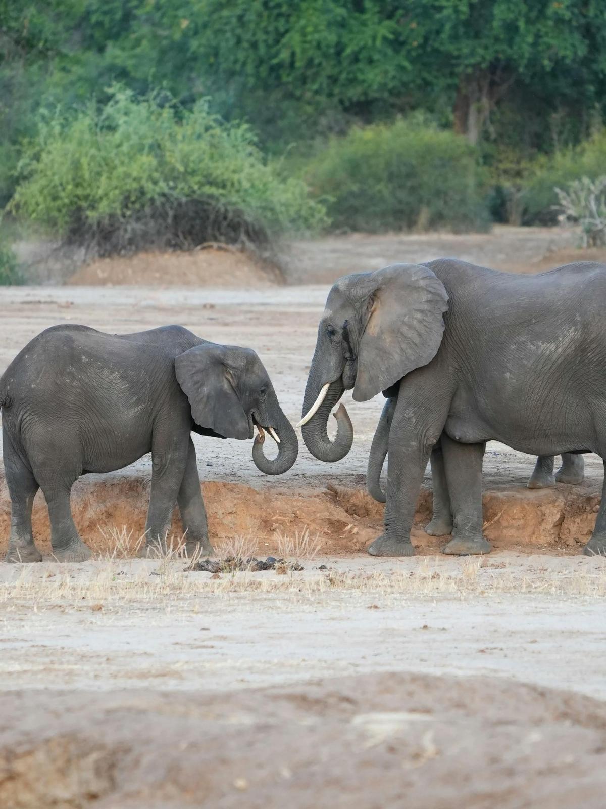 Background for 171 (20 June)