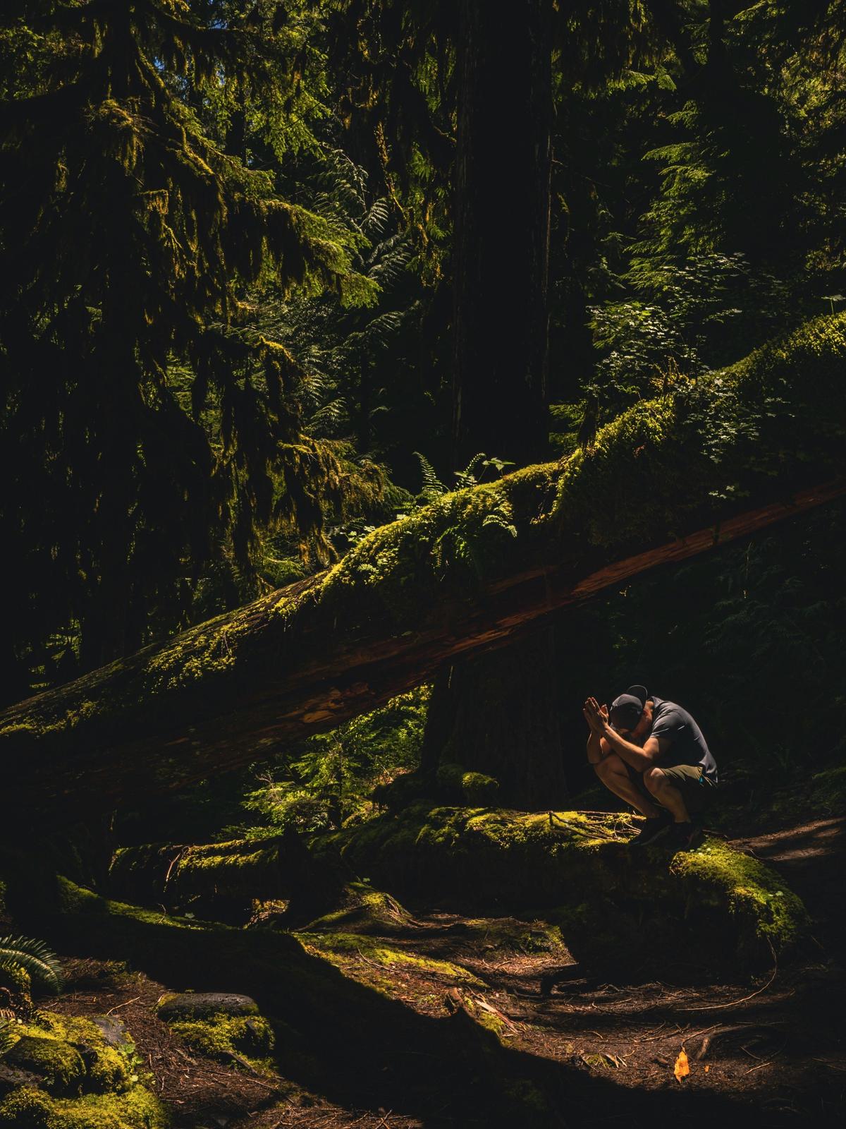 Background for 176 (25 June)