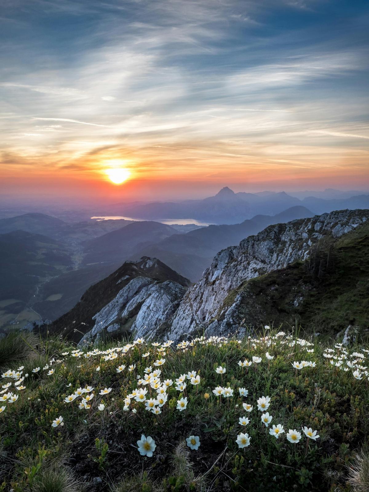 Background for 182 (1 July)