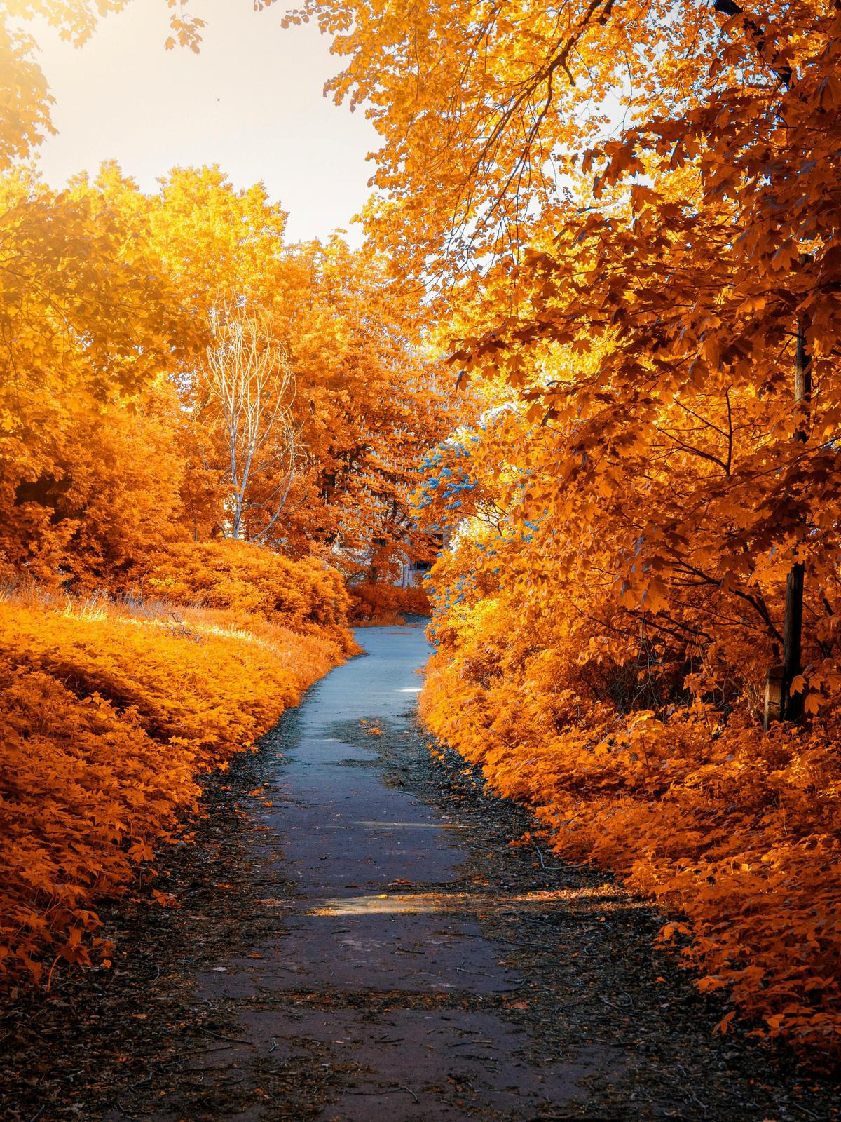 Background for 189 (8 July)