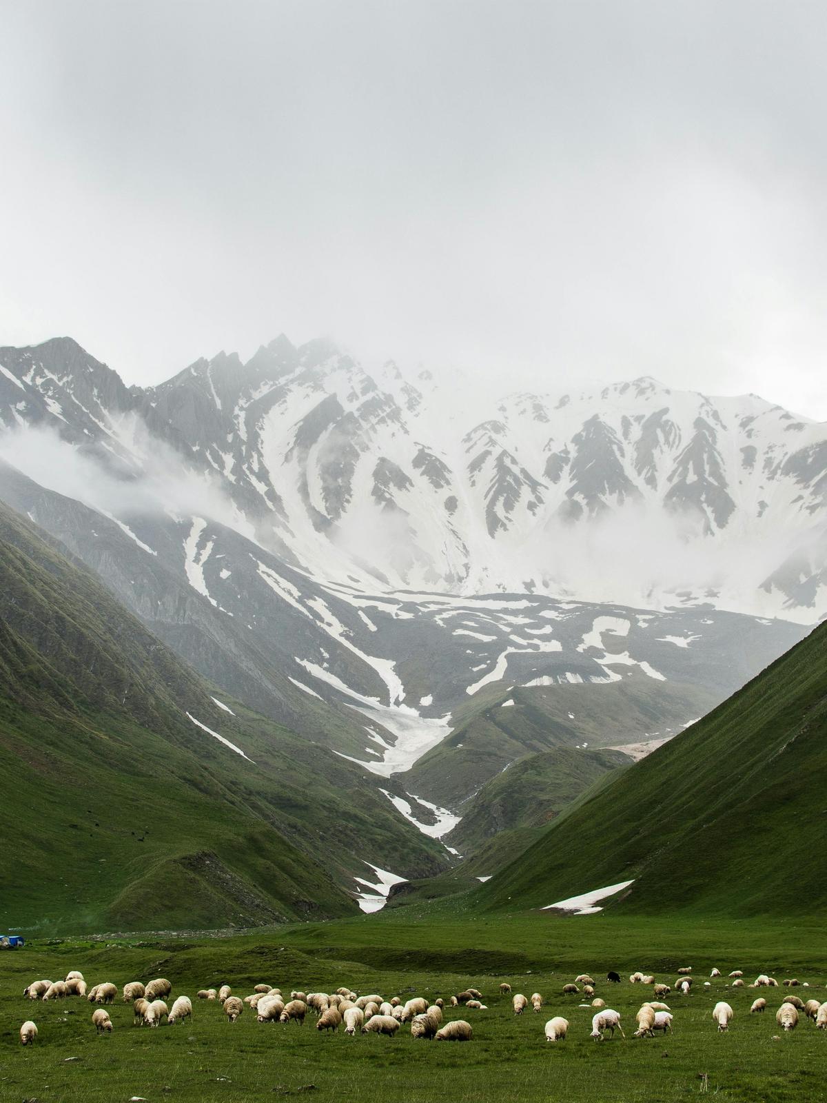 Background for 191 (10 July)