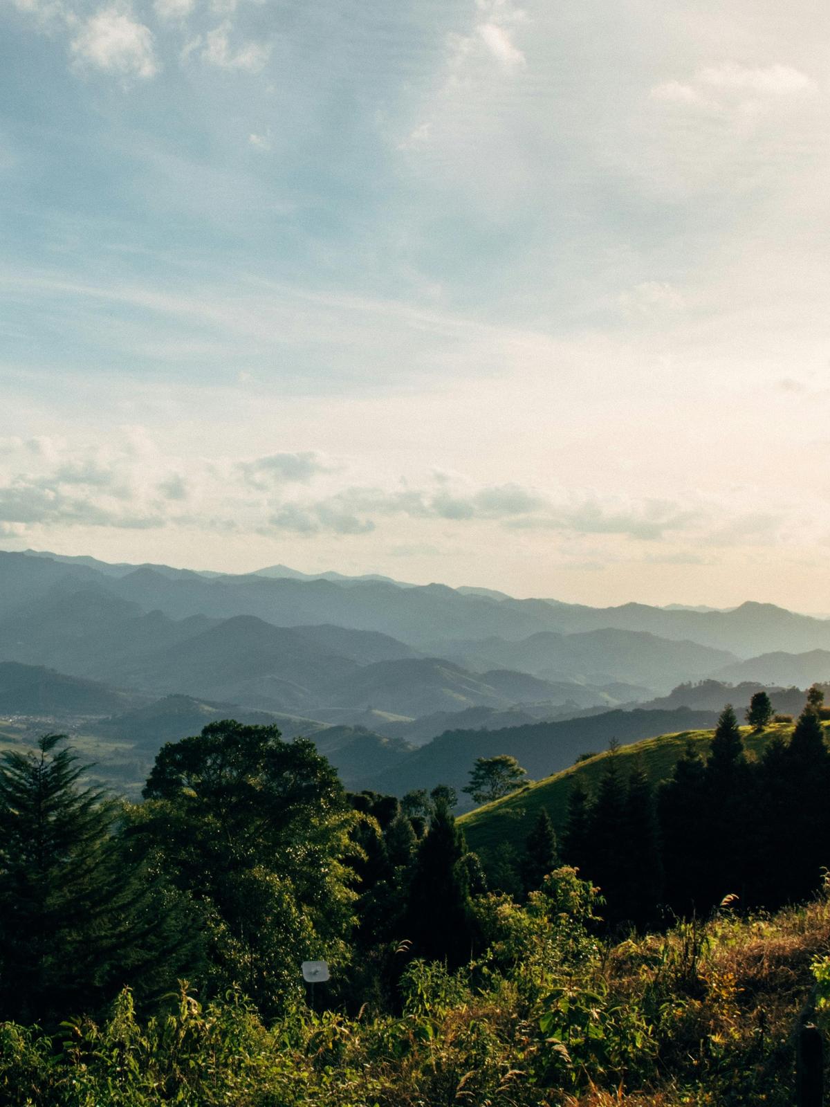 Background for 212 (31 July)