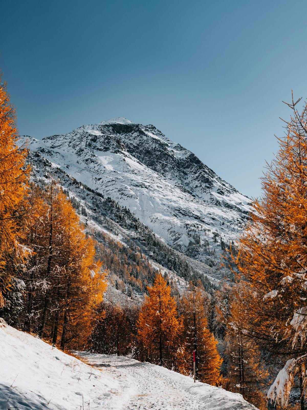 Background for 218 (6 August)