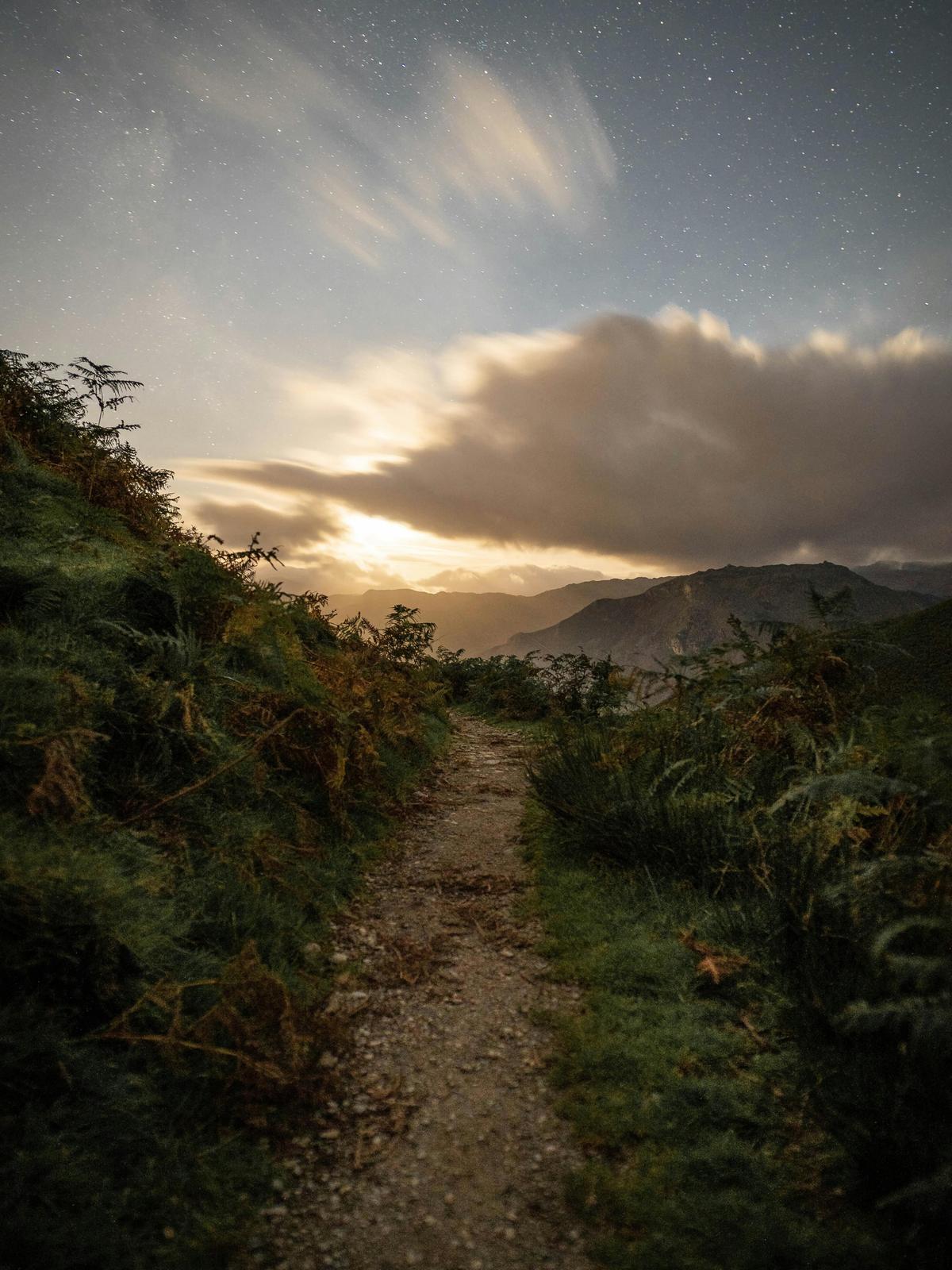 Background for 219 (7 August)