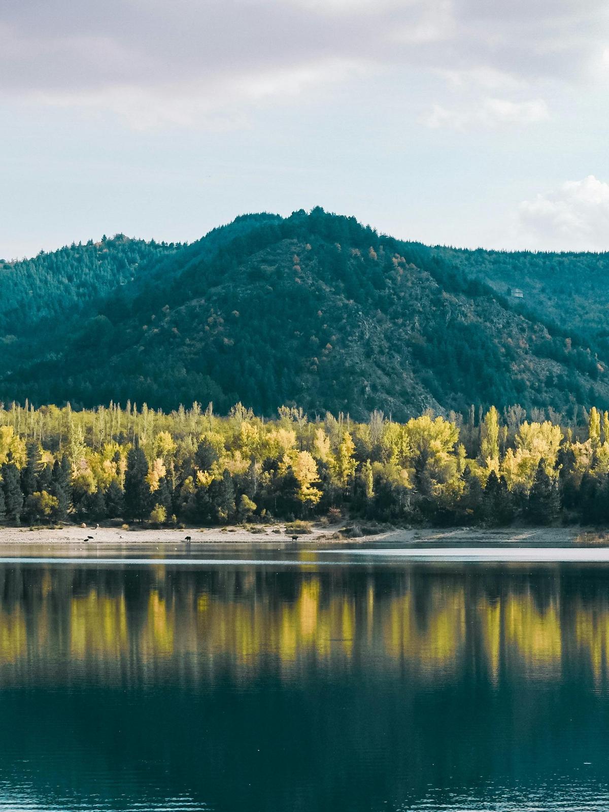 Background for 229 (17 August)