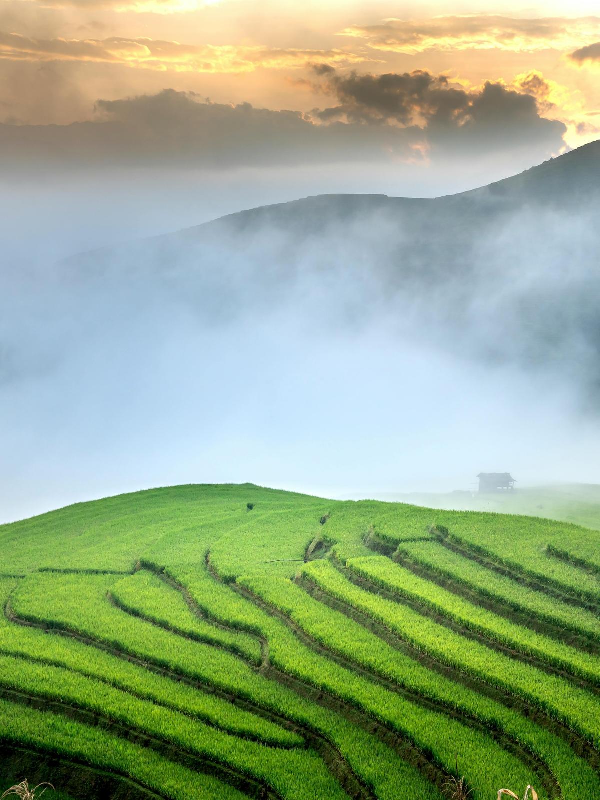 Background for 233 (21 August)