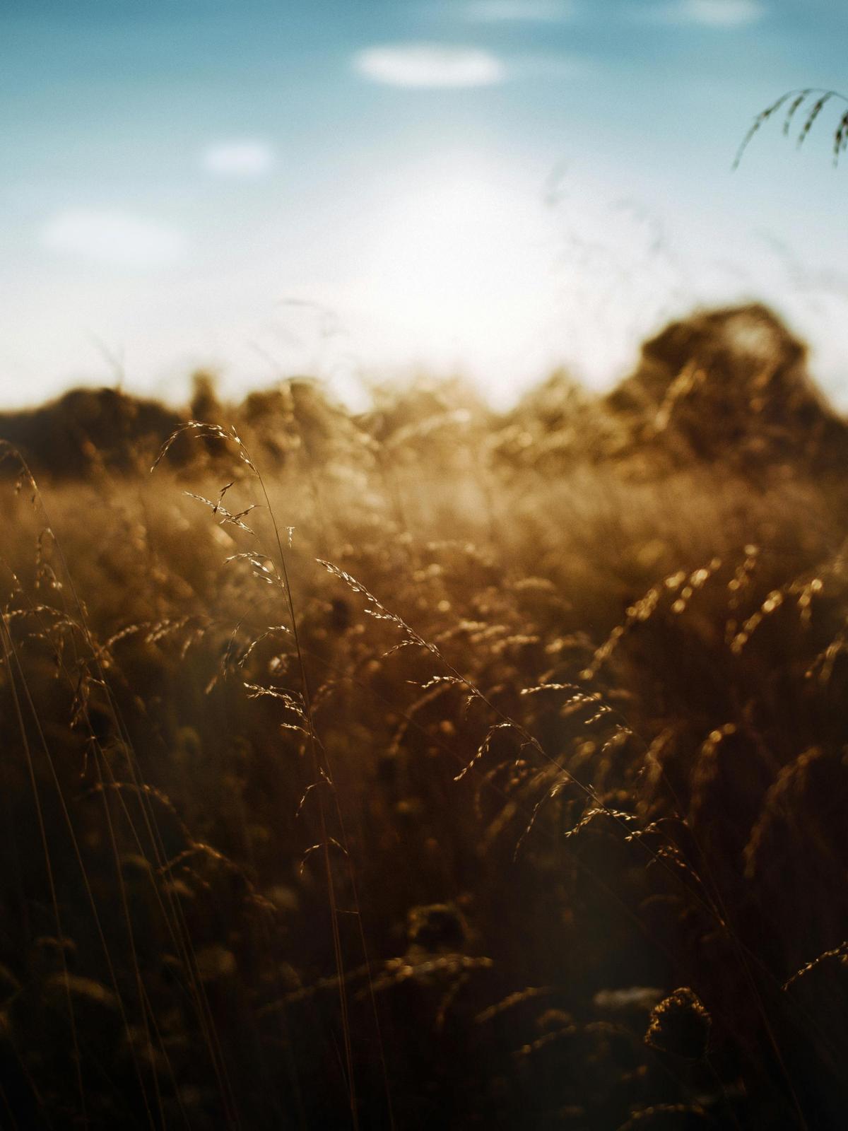 Background for 235 (23 August)