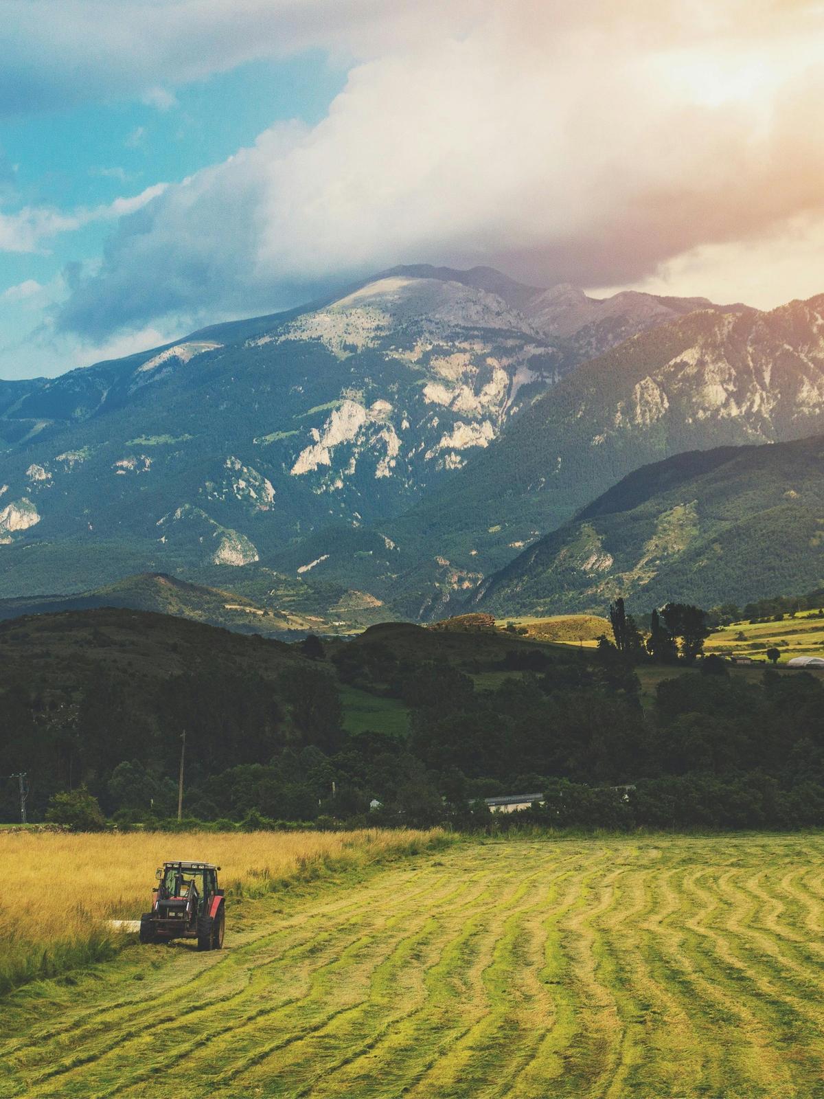 Background for 236 (24 August)