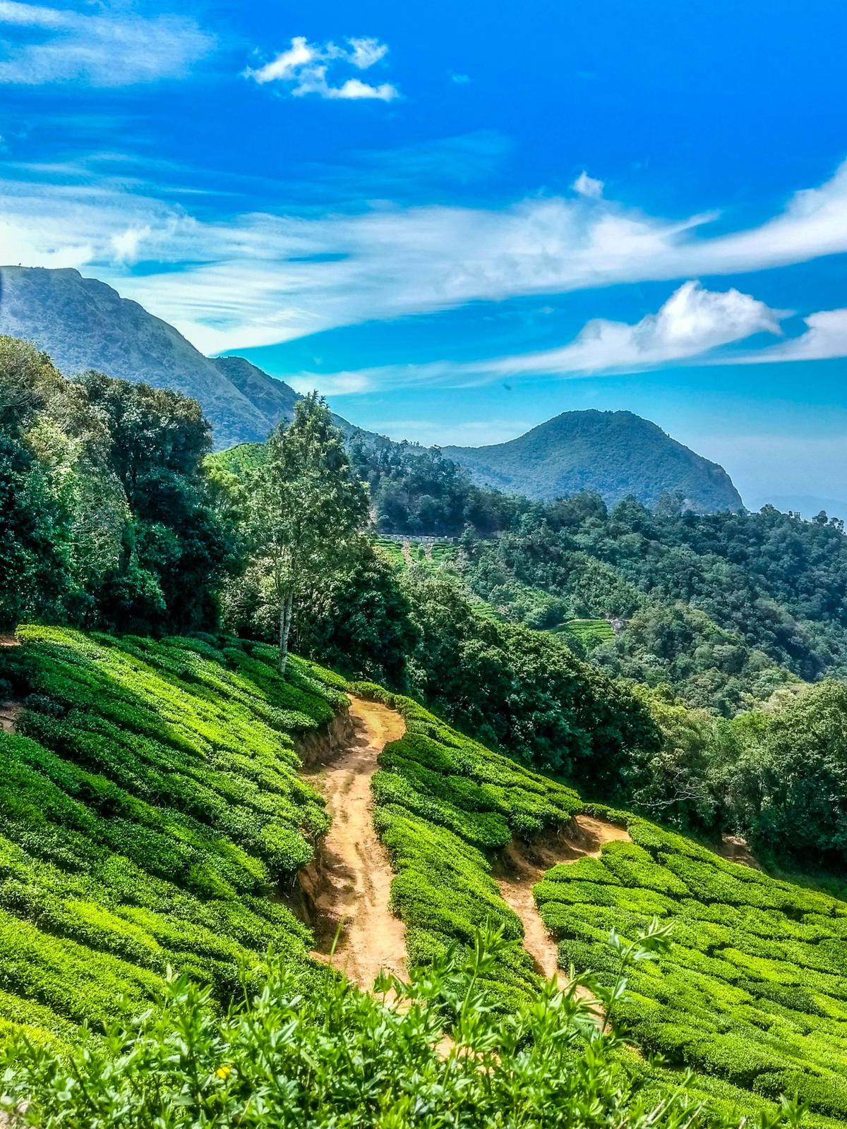 Background for 249 (6 September)