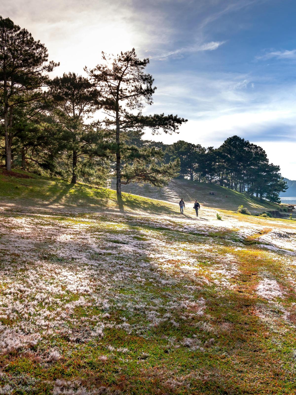 Background for 253 (10 September)