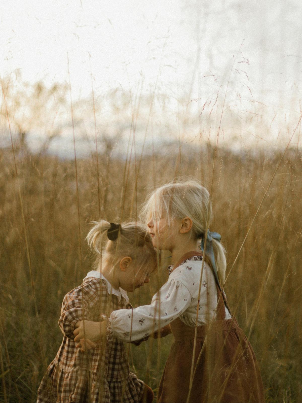 Background for 254 (11 September)