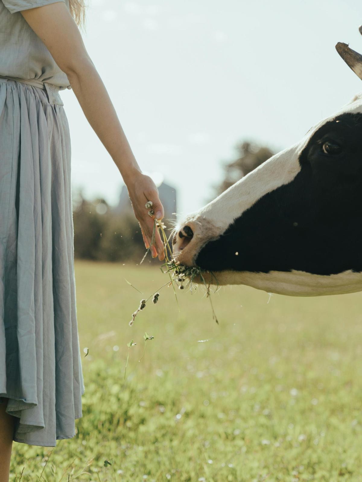 Background for 257 (14 September)