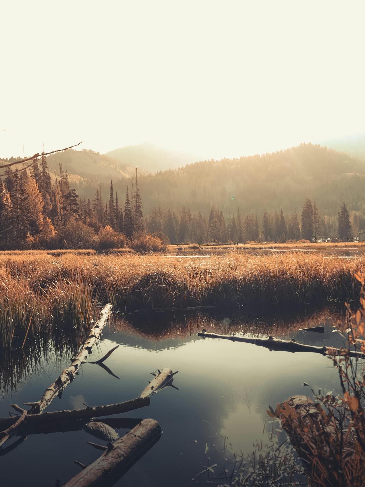 Background for 260 (17 September)