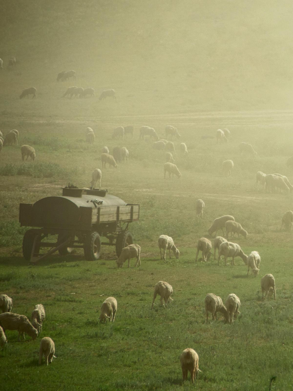 Background for 261 (18 September)