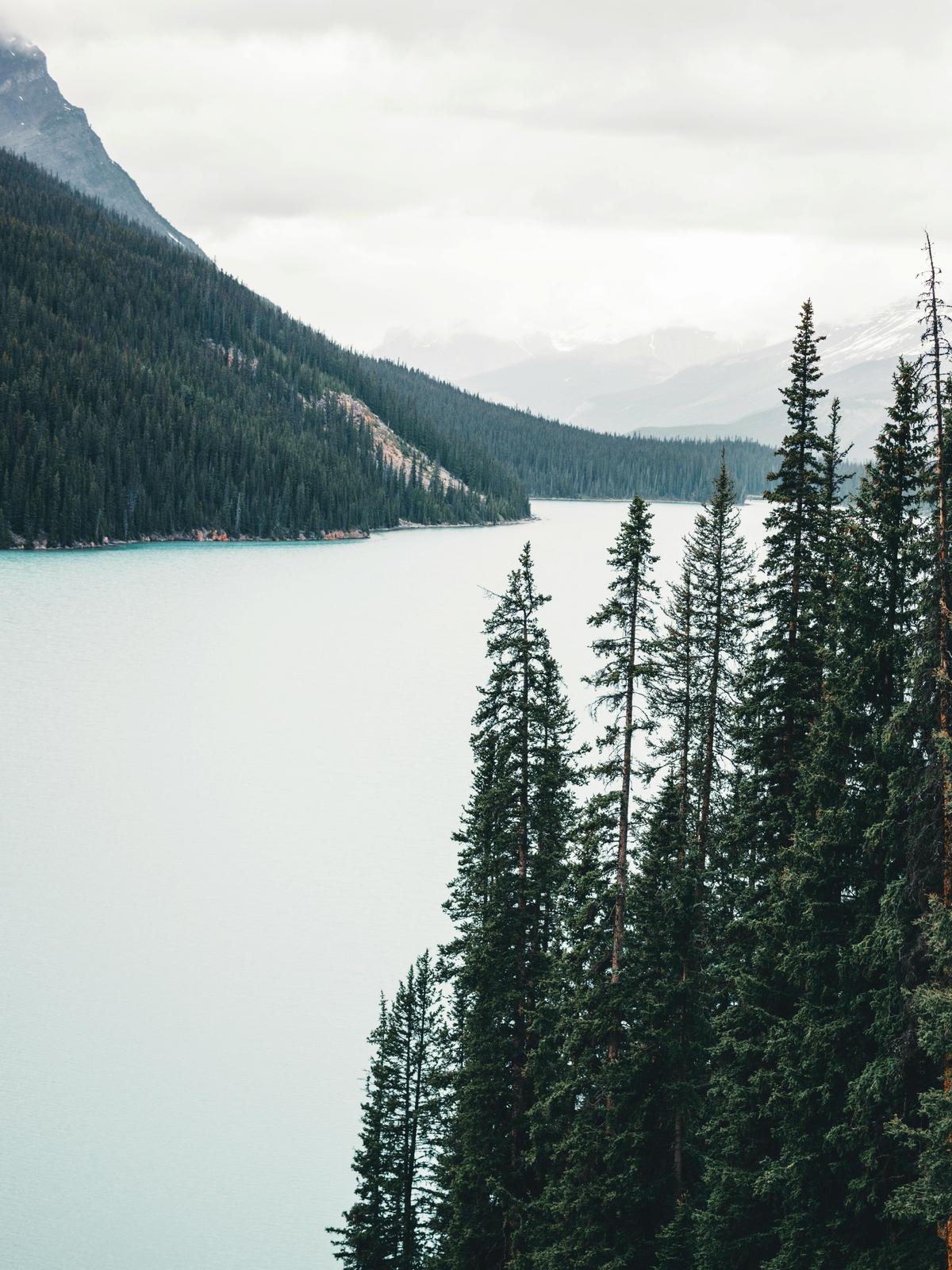 Background for 267 (24 September)