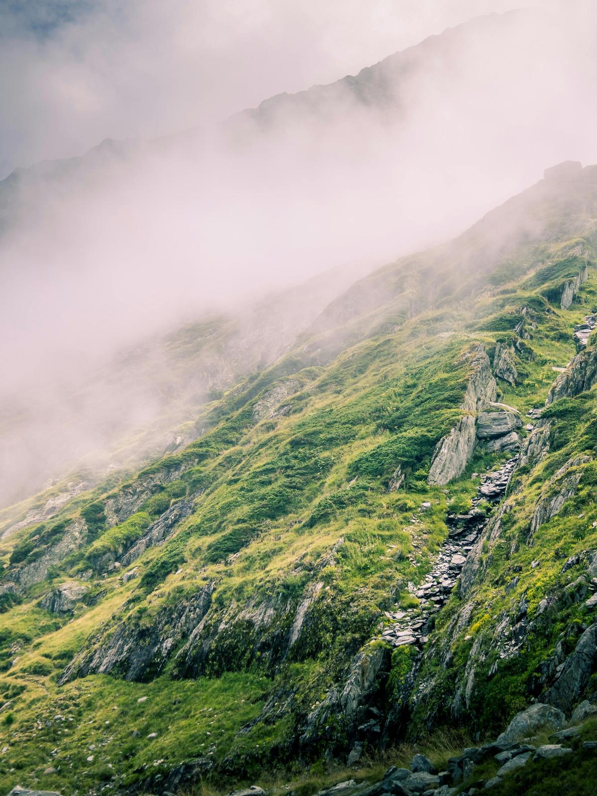 Background for 268 (25 September)