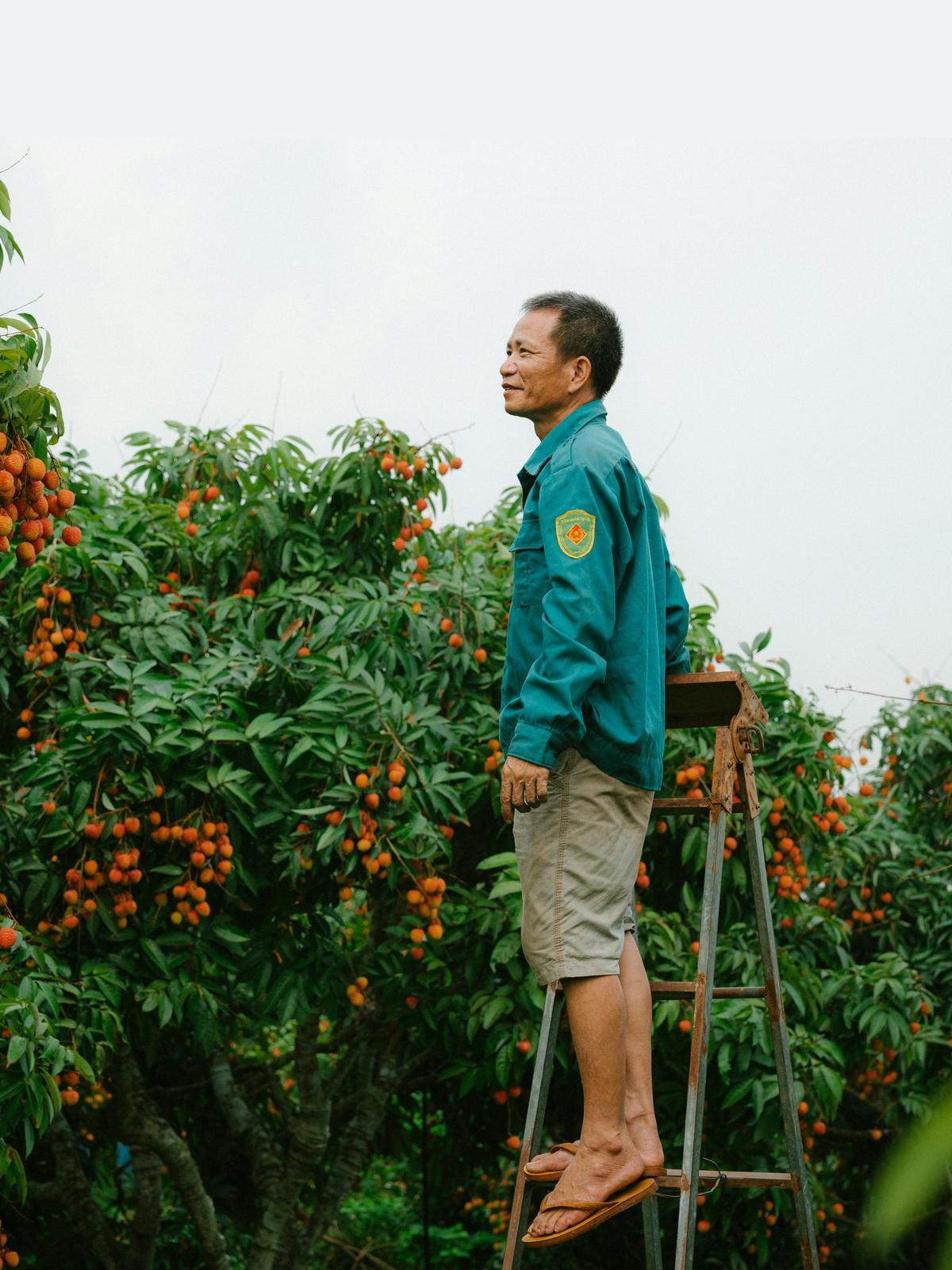 Background for 269 (26 September)