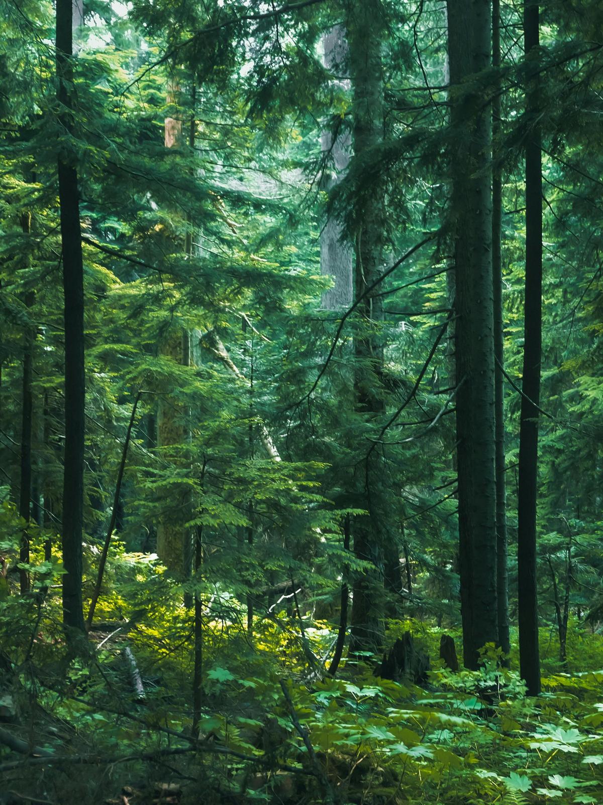 Background for 270 (27 September)