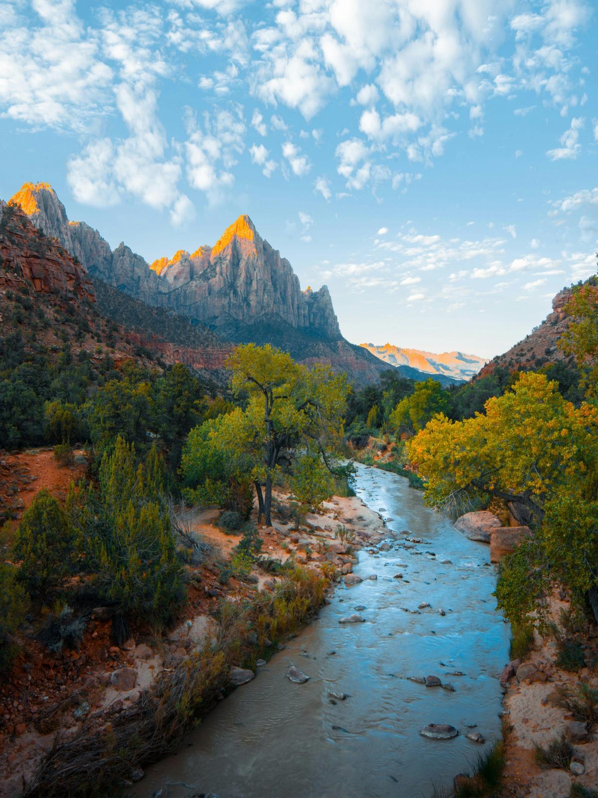 Background for 276 (3 October)