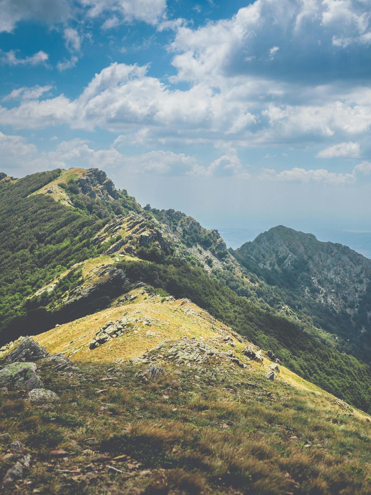 Background for 291 (18 October)