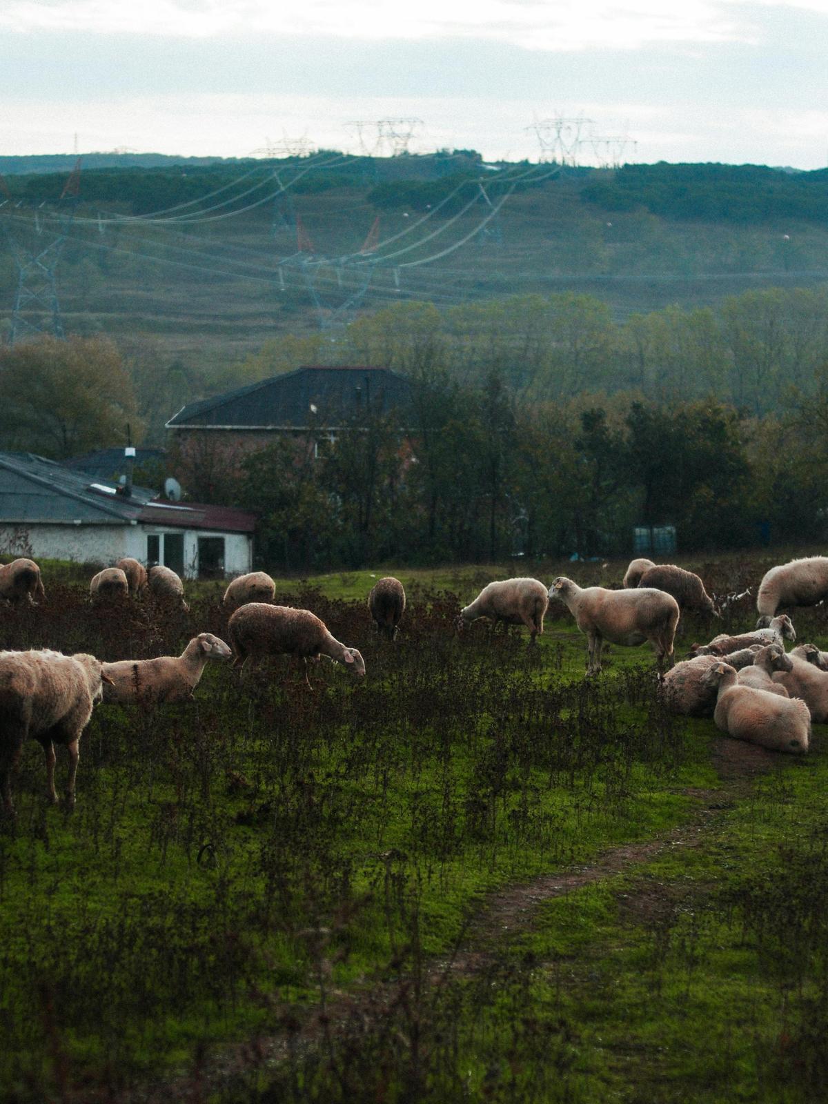 Background for 297 (24 October)