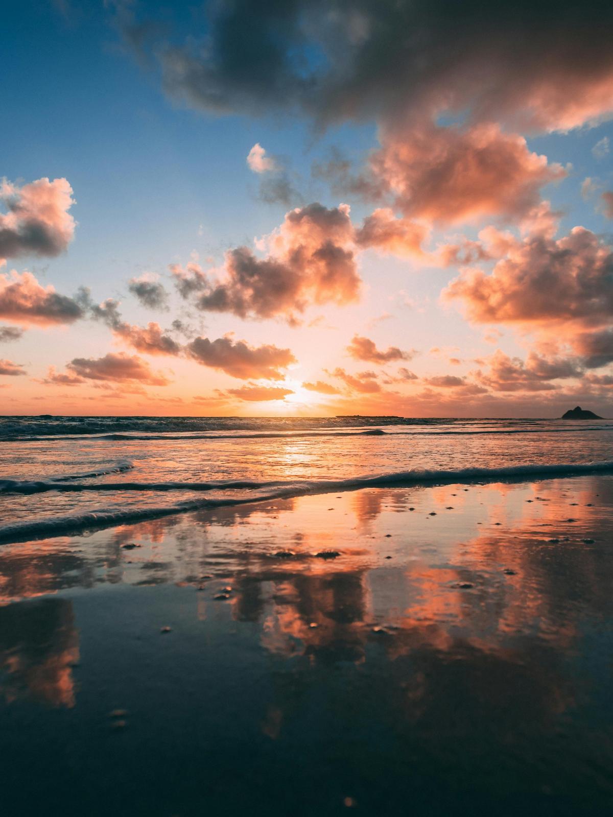 Background for 305 (1 November)