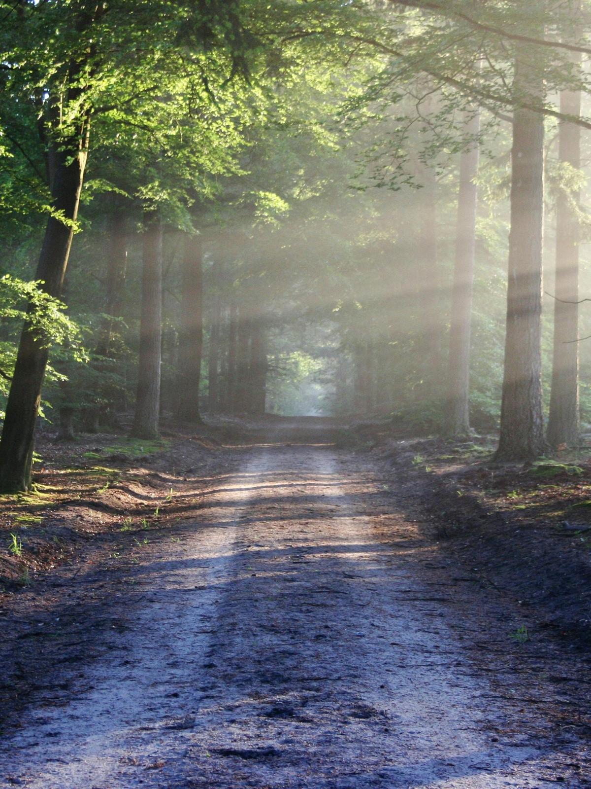 Background for 309 (5 November)