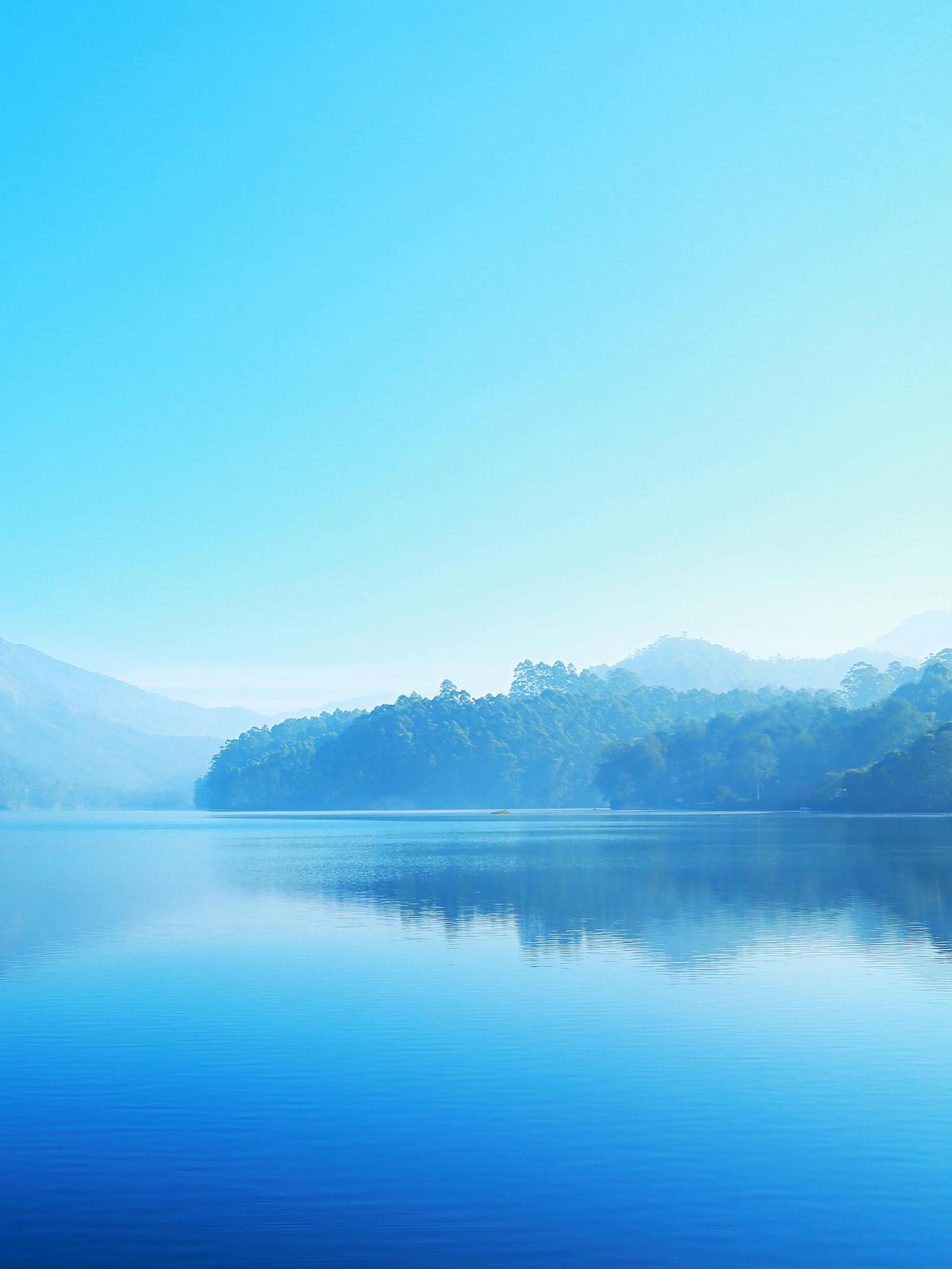 Background for 318 (14 November)