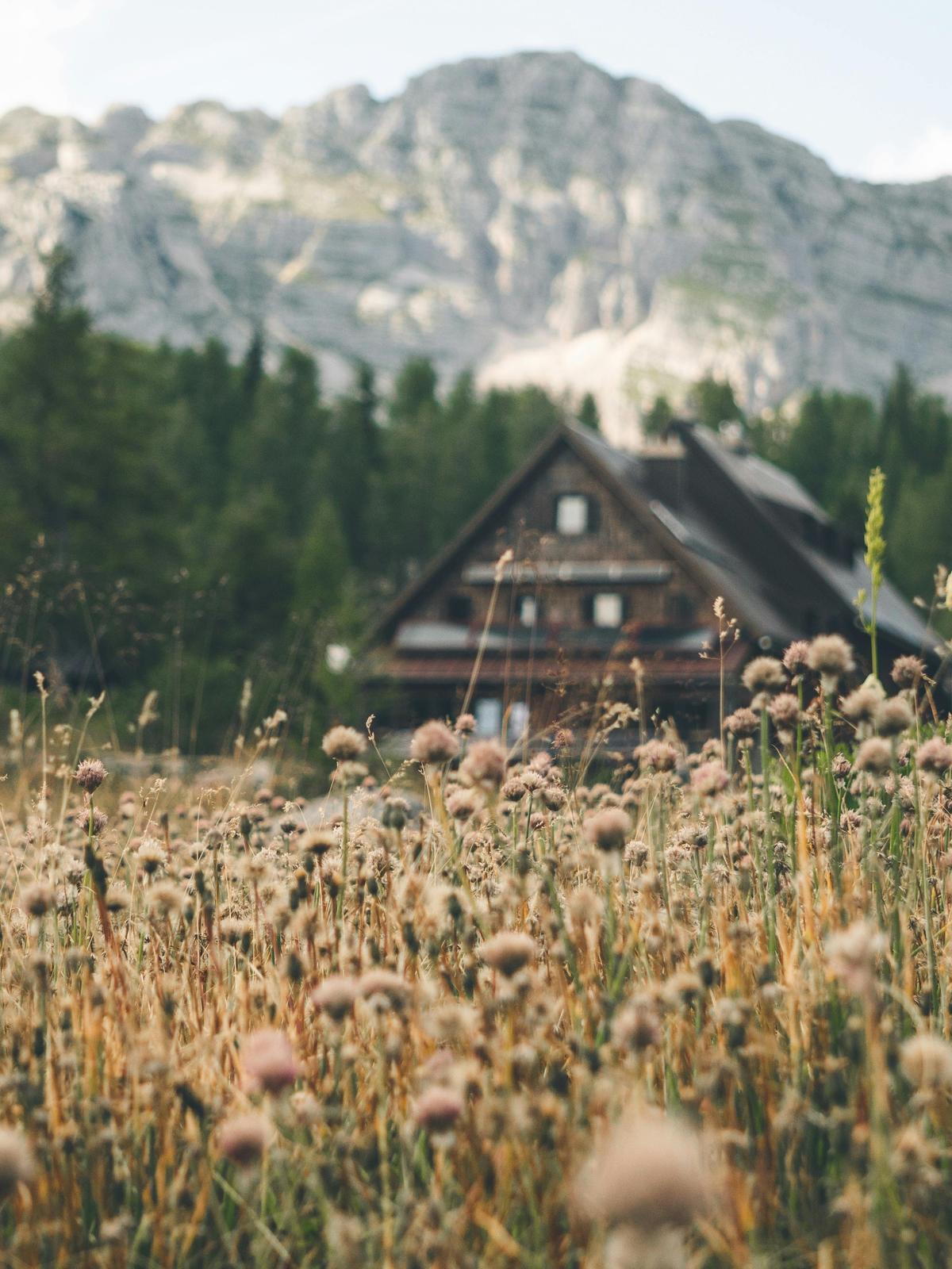 Background for 321 (17 November)