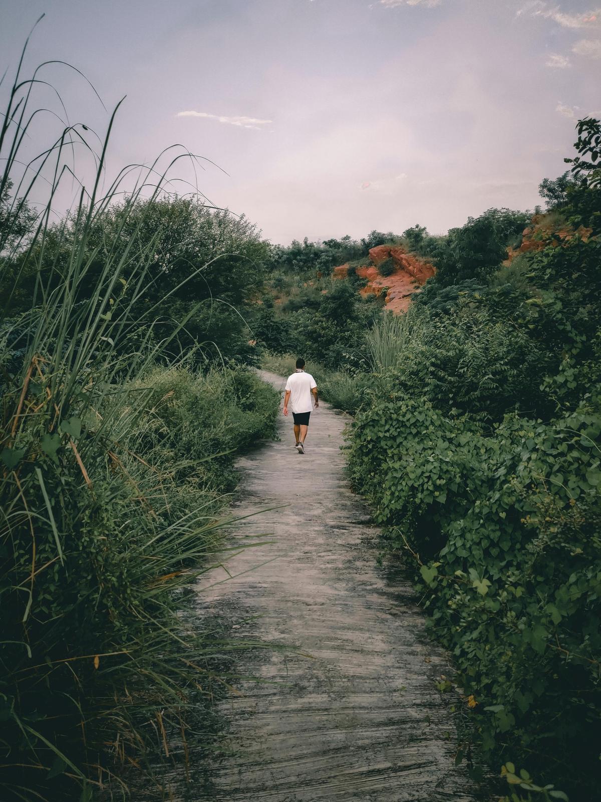 Background for 334 (30 November)